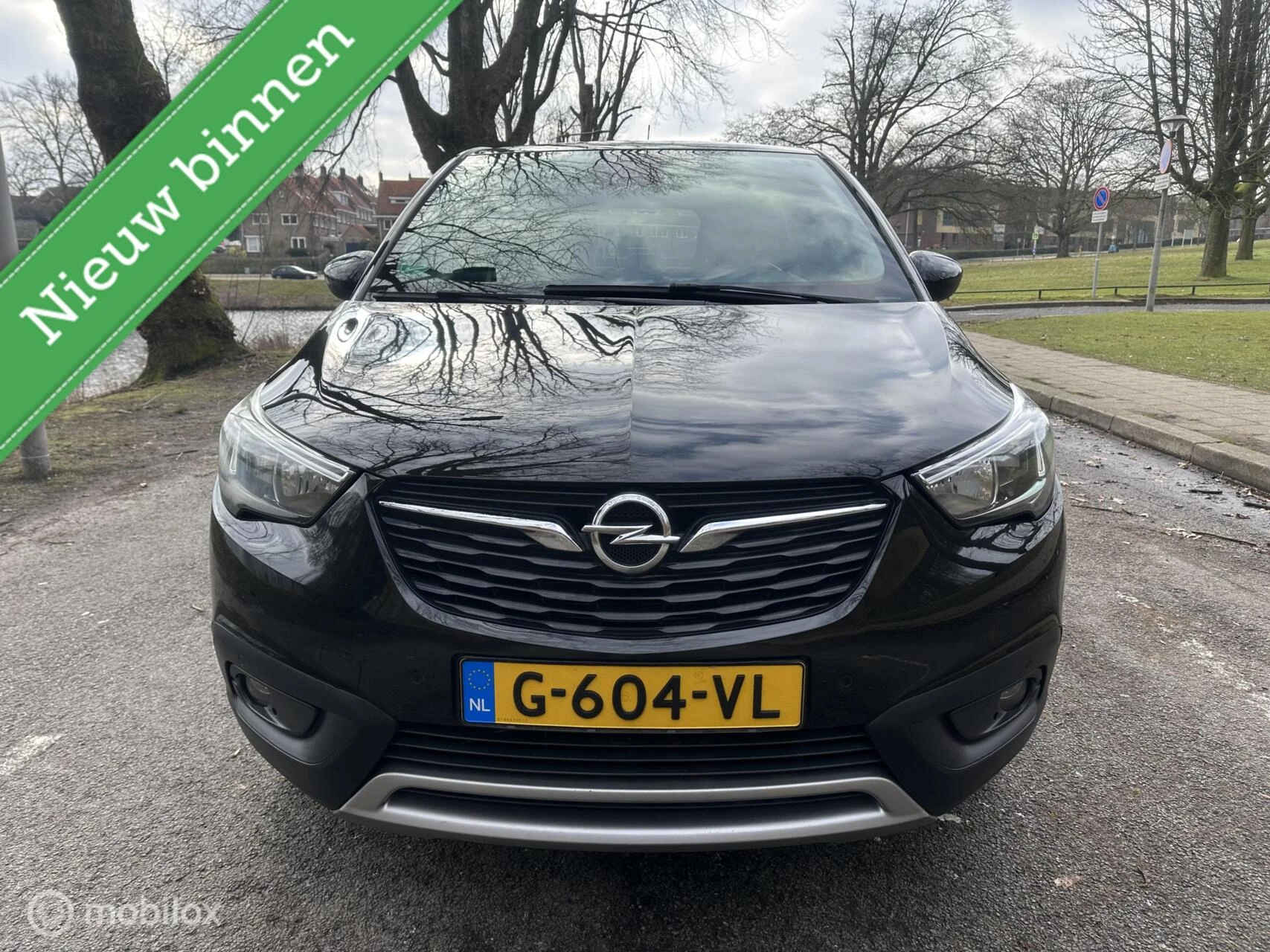 Hoofdafbeelding Opel Crossland X