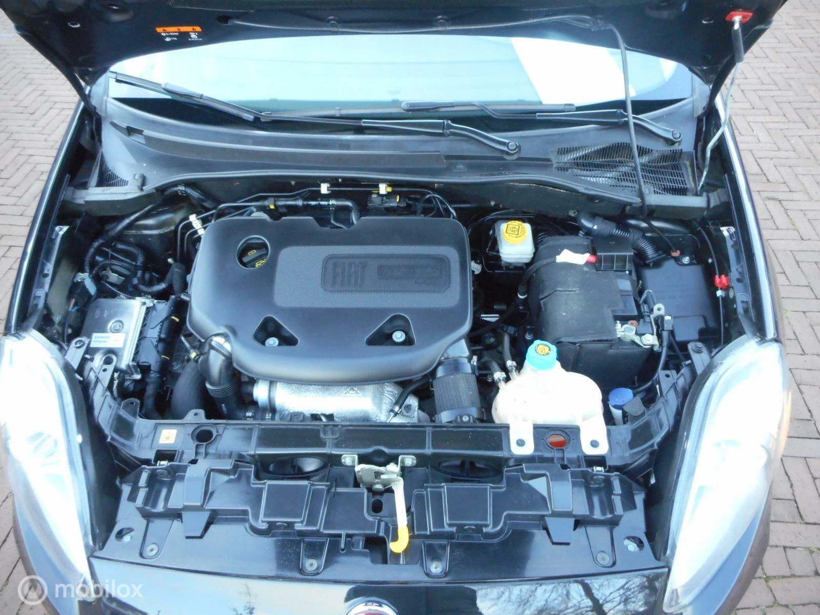 Hoofdafbeelding Fiat Punto