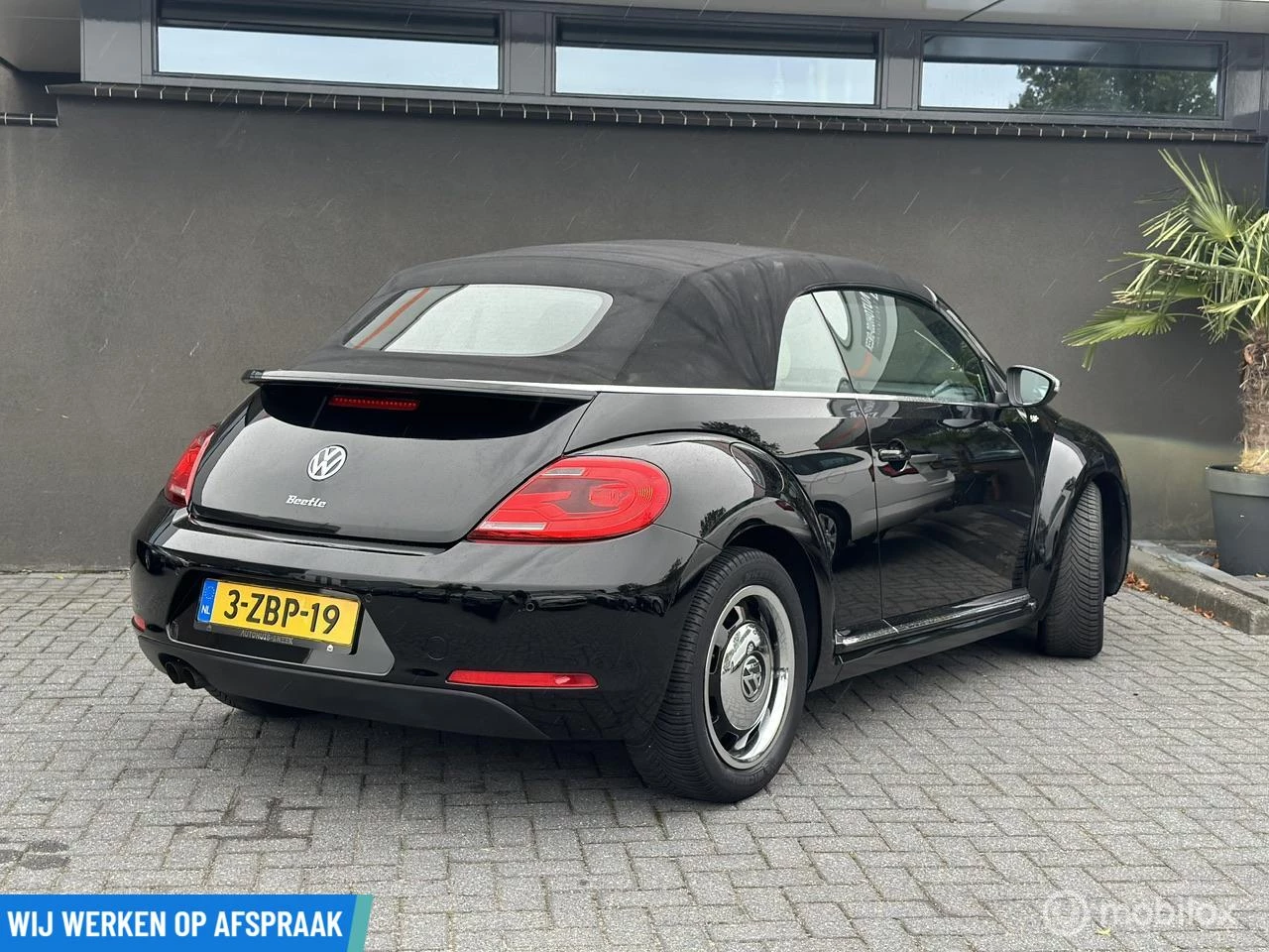 Hoofdafbeelding Volkswagen Beetle