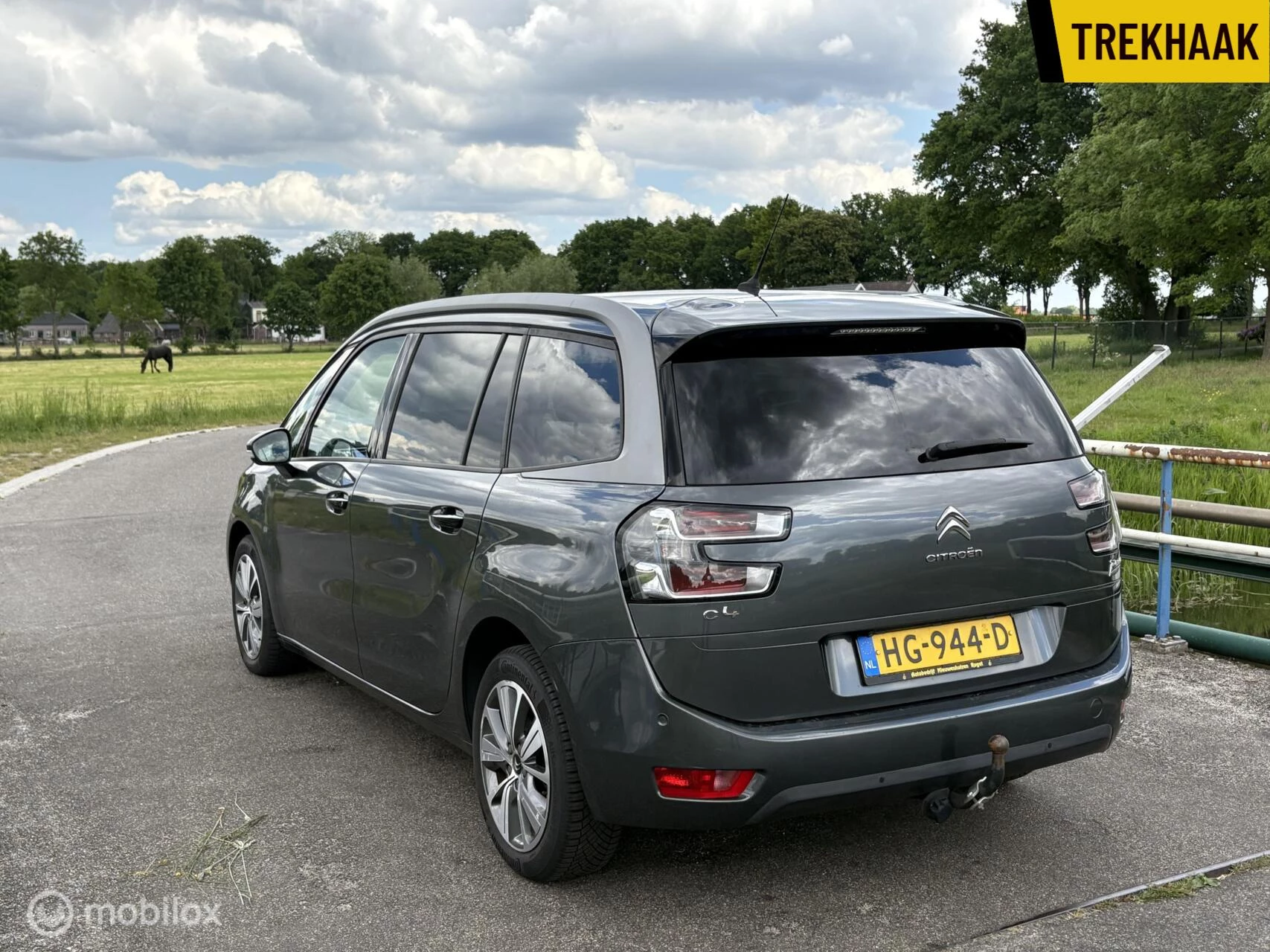 Hoofdafbeelding Citroën Grand C4 Picasso