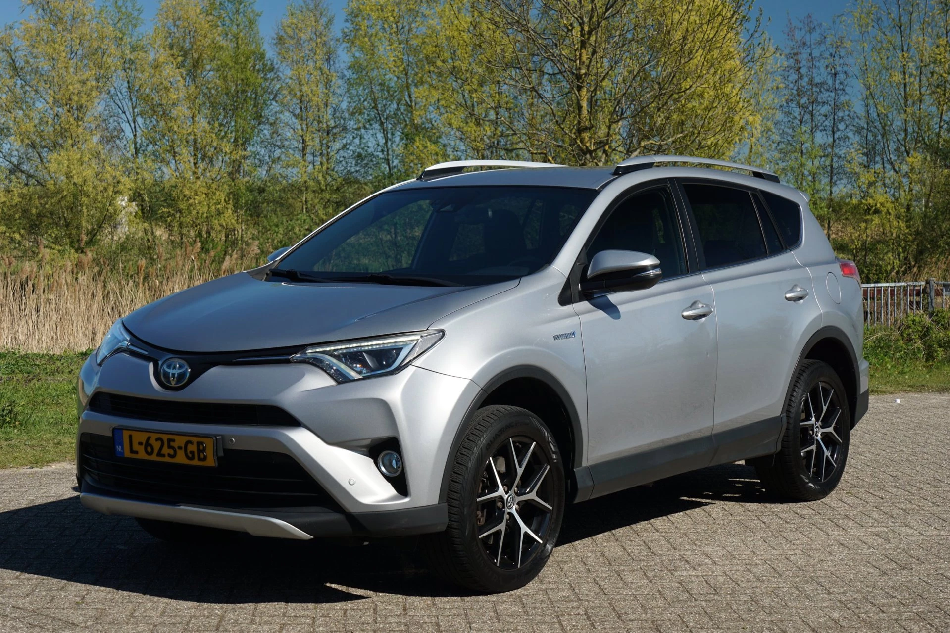 Hoofdafbeelding Toyota RAV4