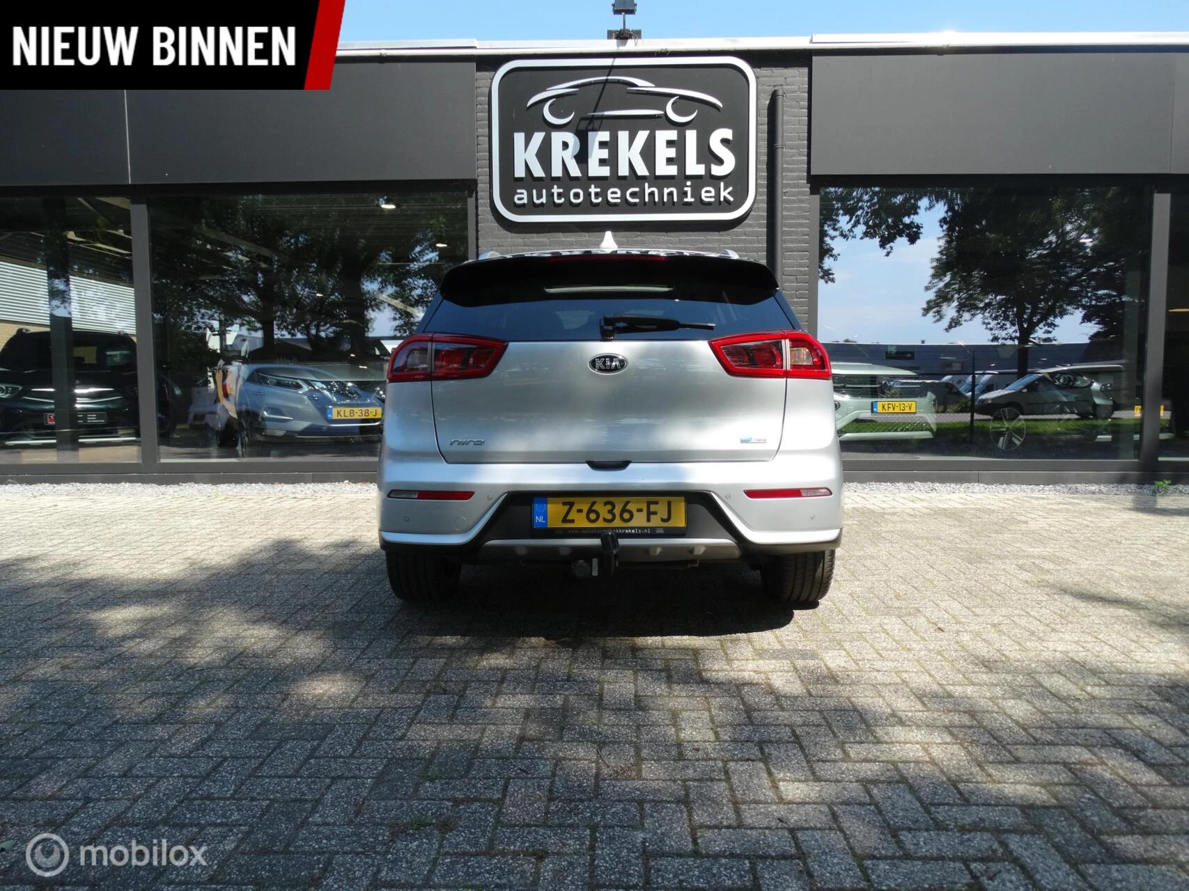 Hoofdafbeelding Kia Niro