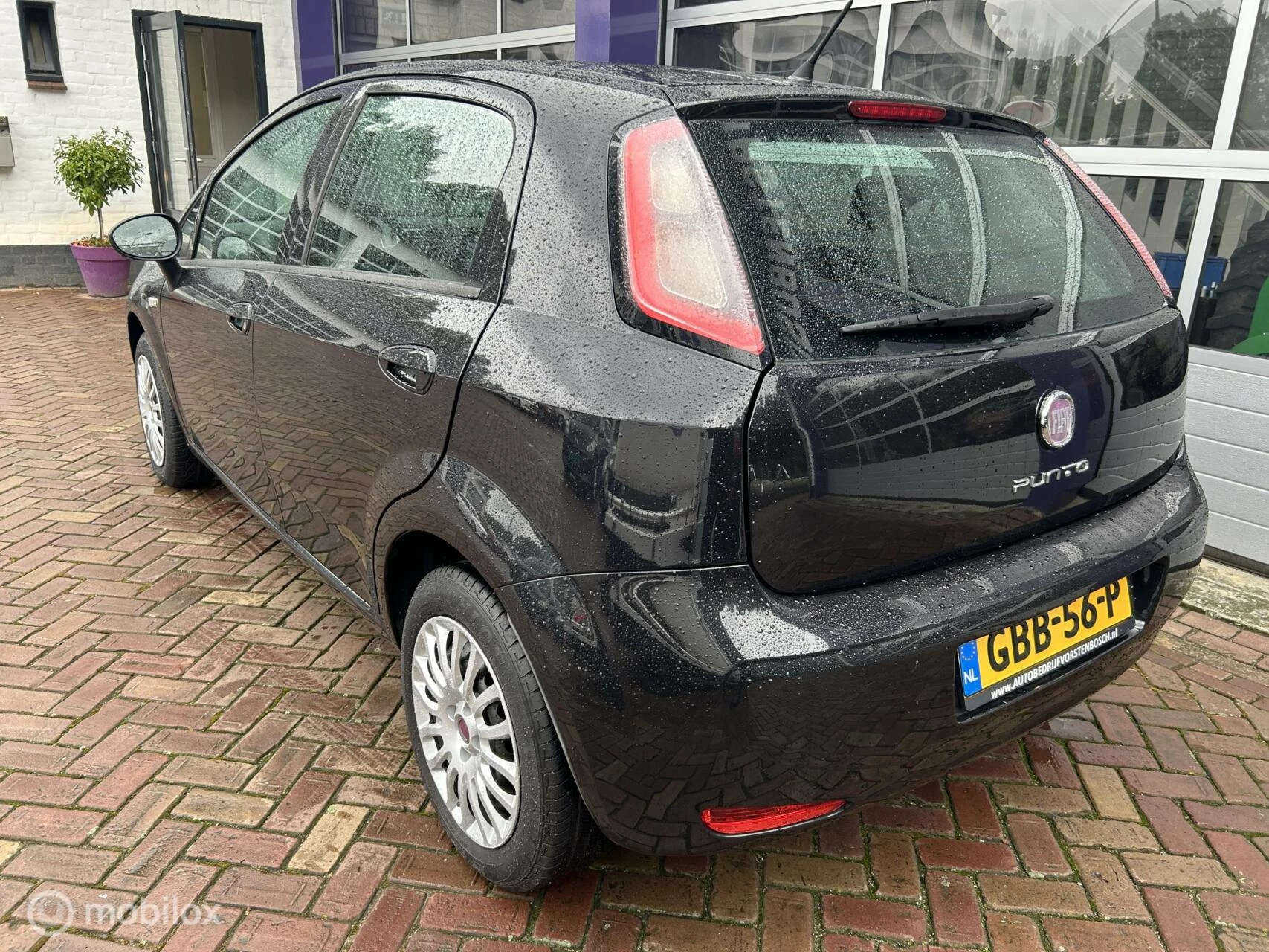 Hoofdafbeelding Fiat Punto