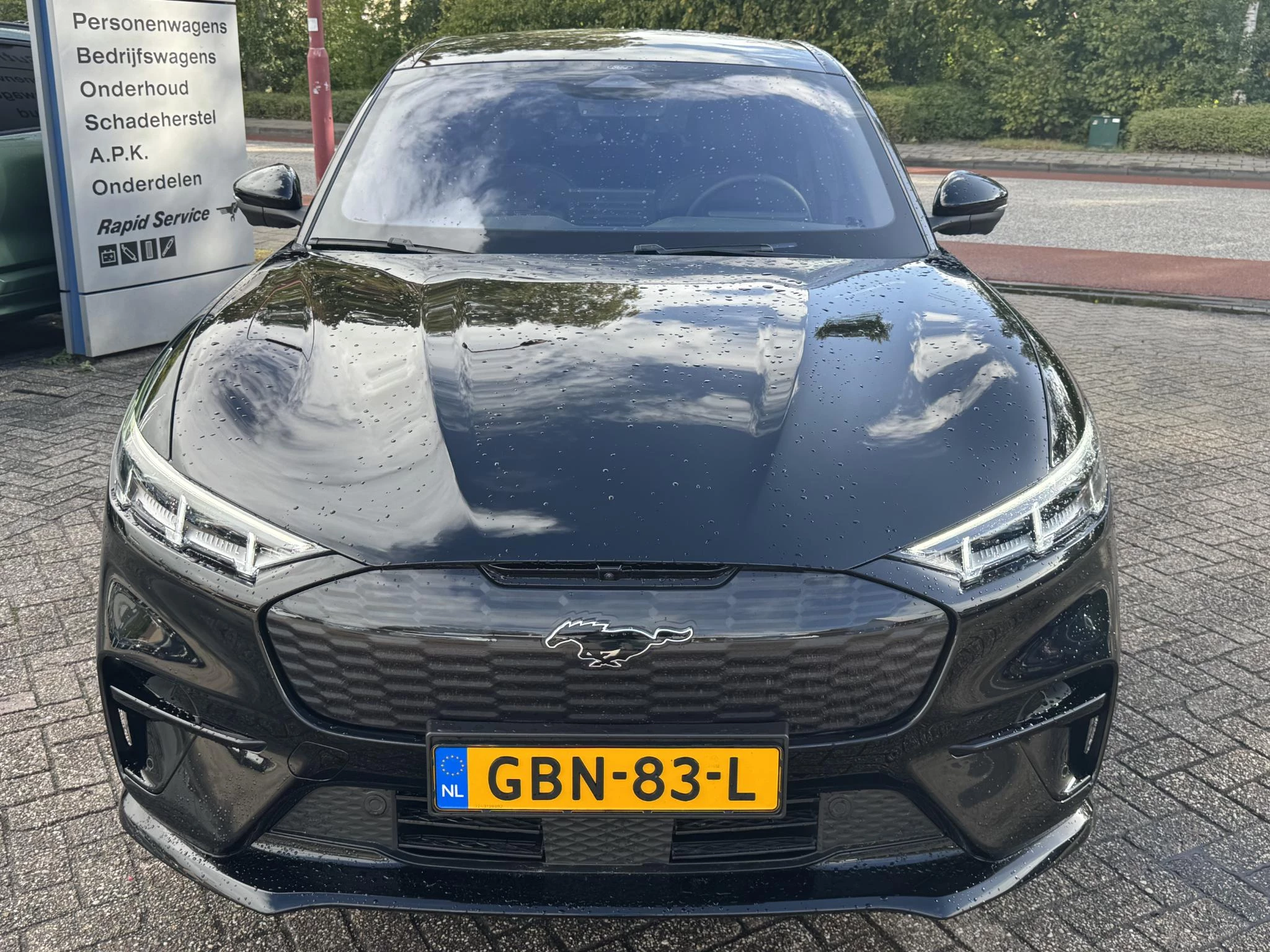 Hoofdafbeelding Ford Mustang Mach-E