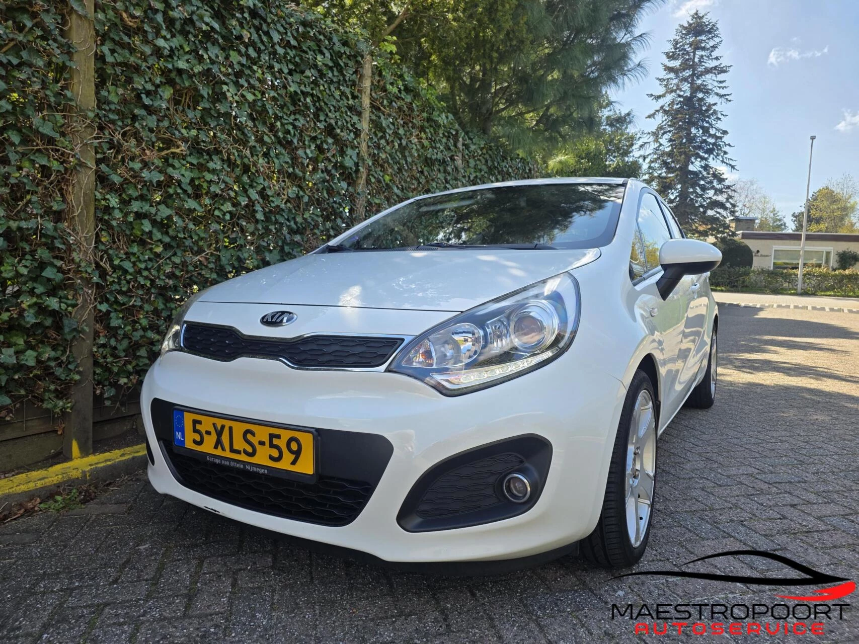 Hoofdafbeelding Kia Rio