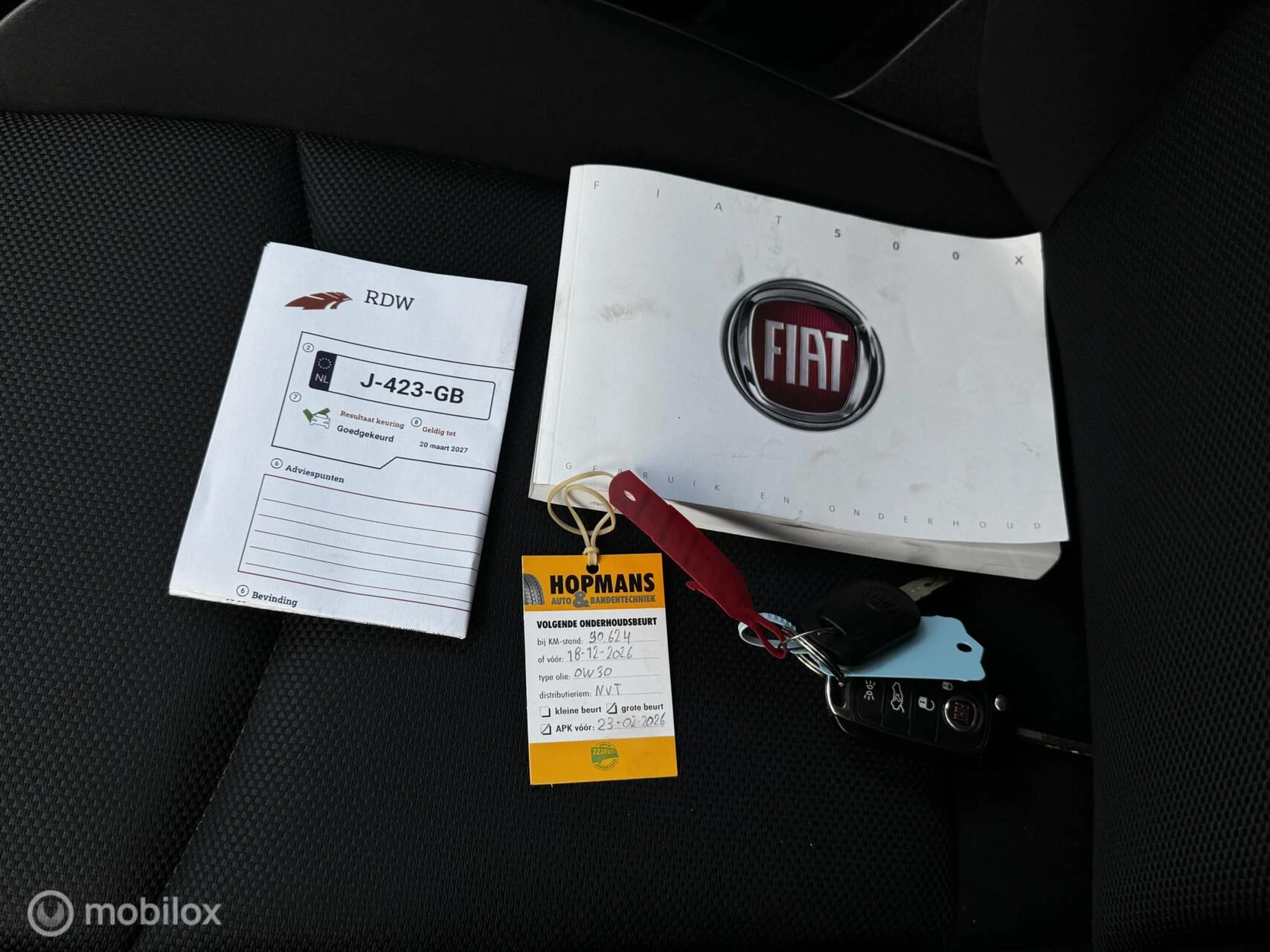 Hoofdafbeelding Fiat 500X