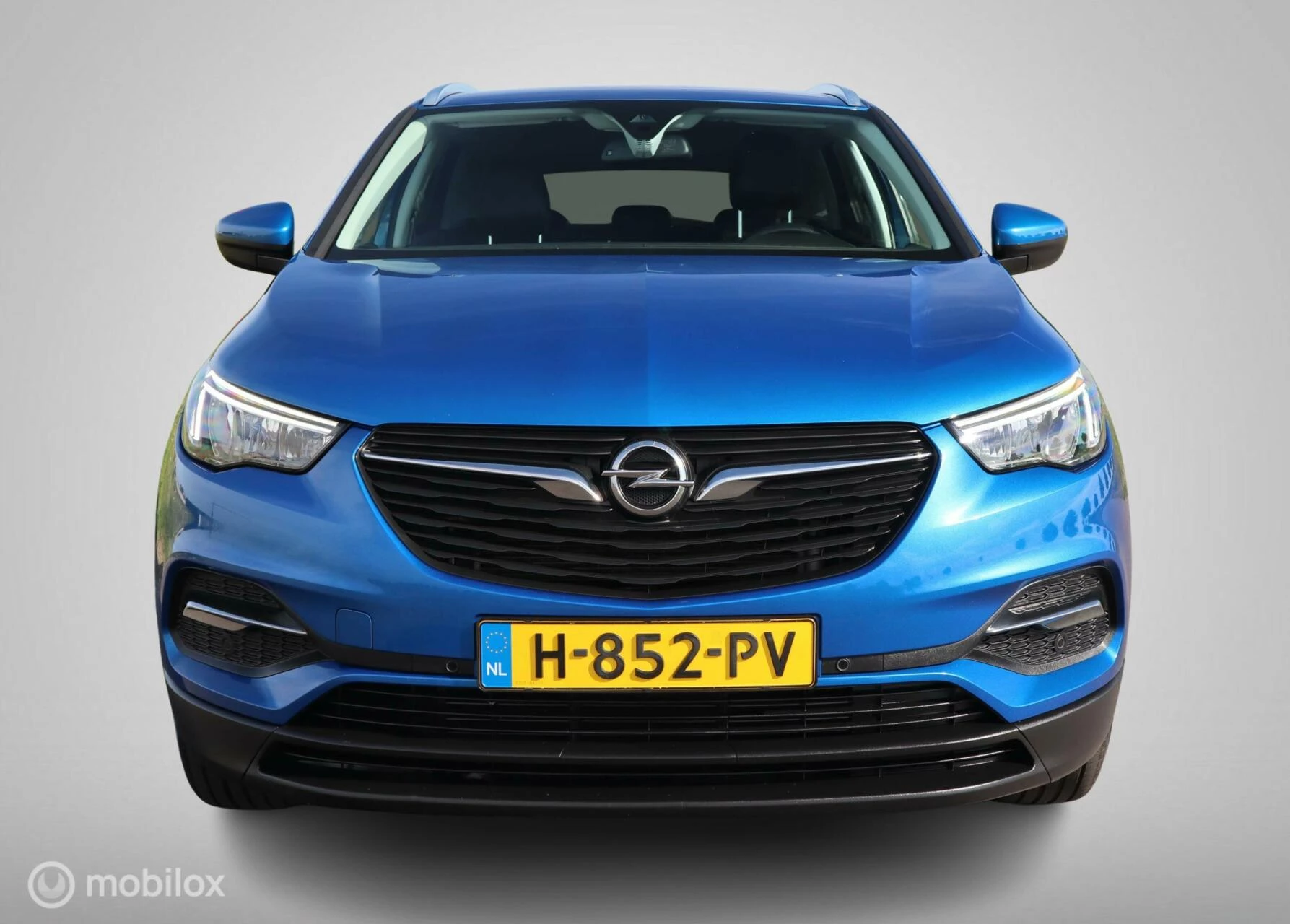 Hoofdafbeelding Opel Grandland X