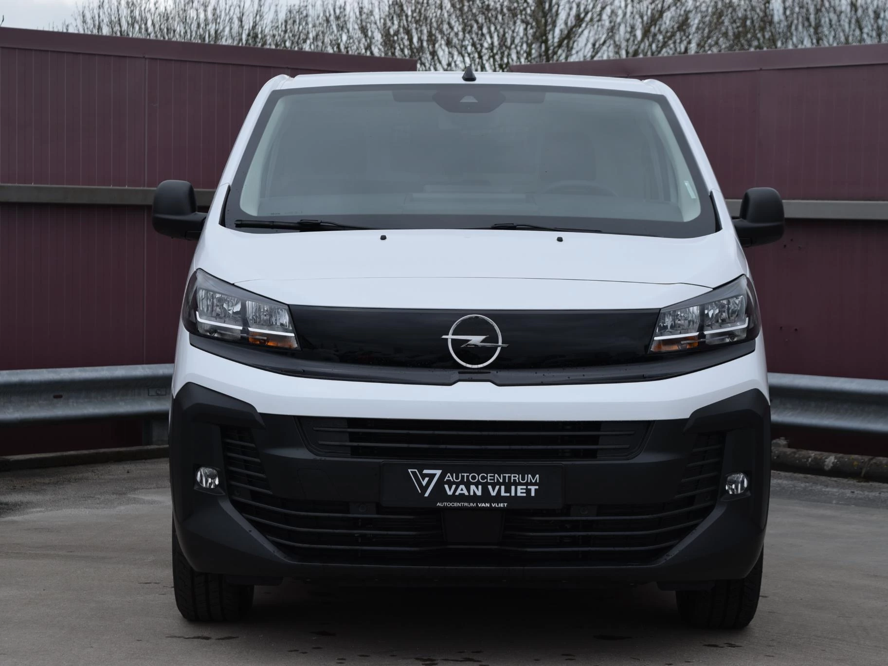 Hoofdafbeelding Opel Vivaro-e