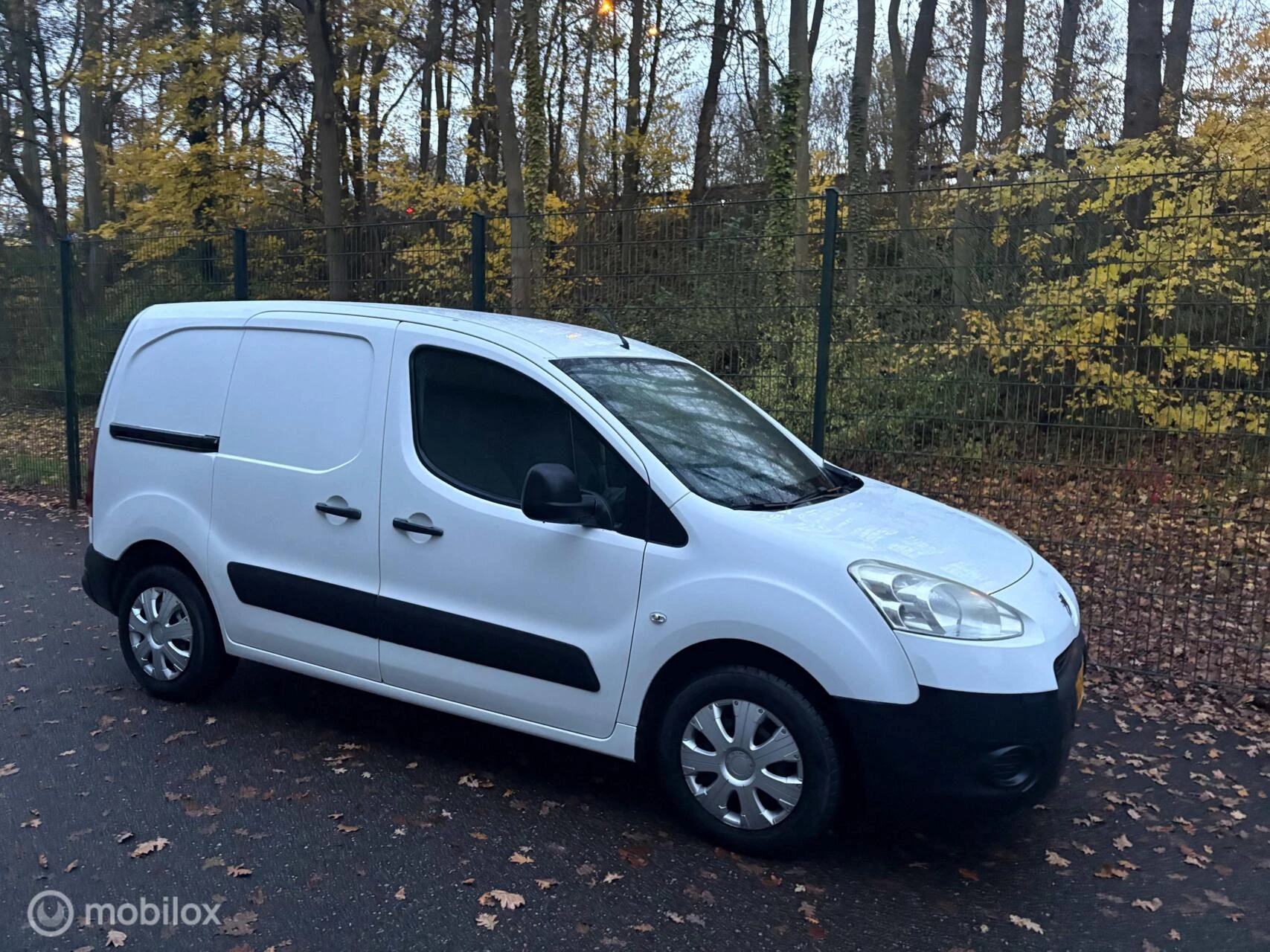 Hoofdafbeelding Peugeot Partner