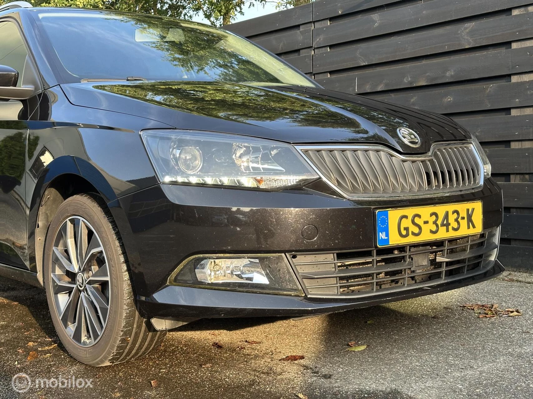 Hoofdafbeelding Škoda Fabia