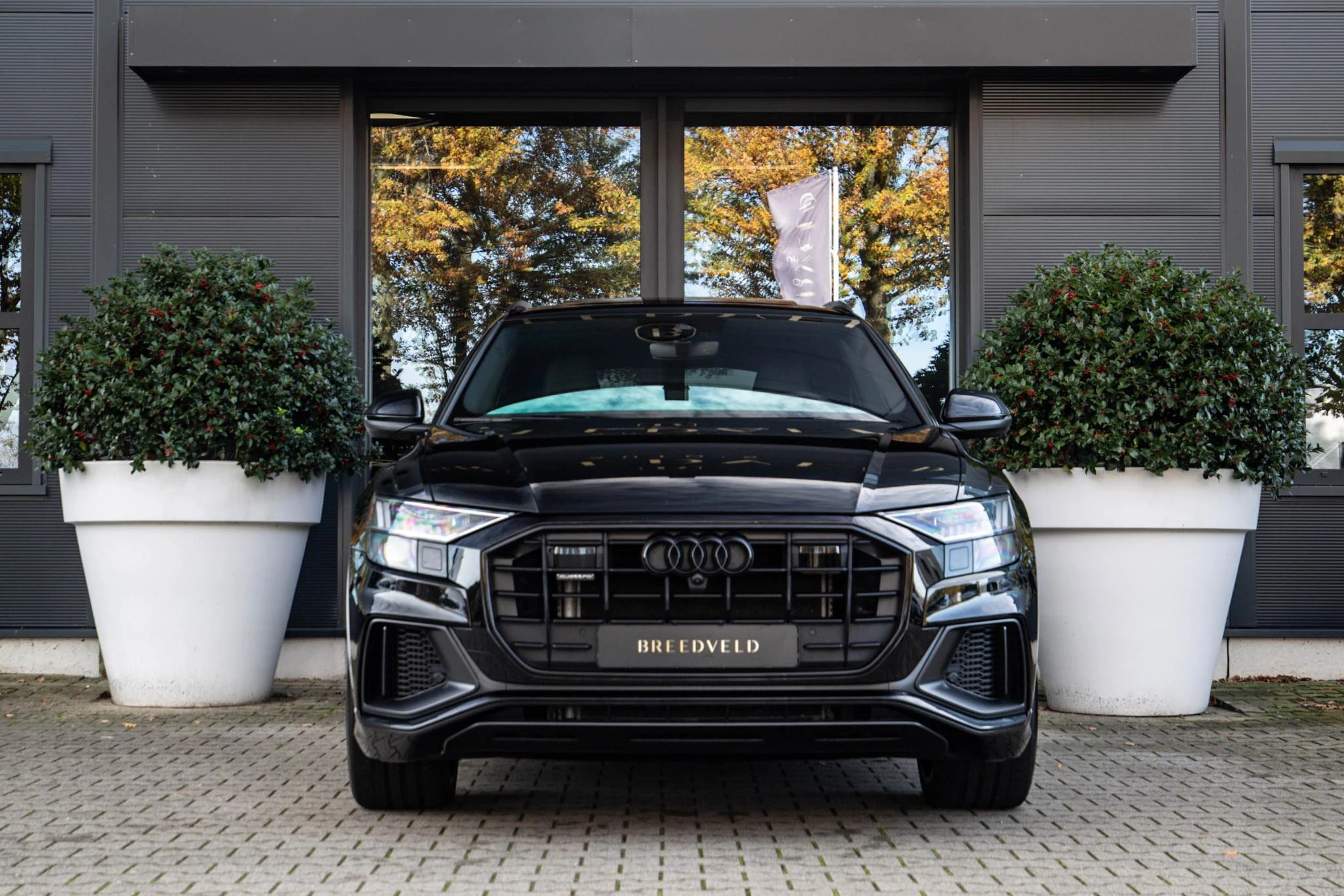 Hoofdafbeelding Audi Q8
