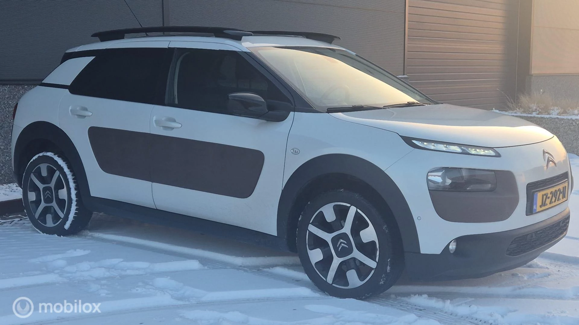 Hoofdafbeelding Citroën C4 Cactus