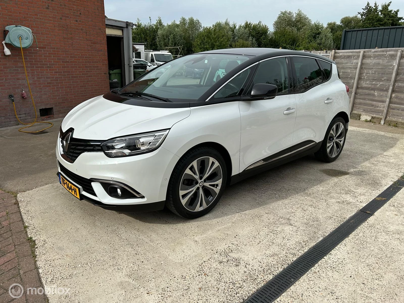 Hoofdafbeelding Renault Scénic