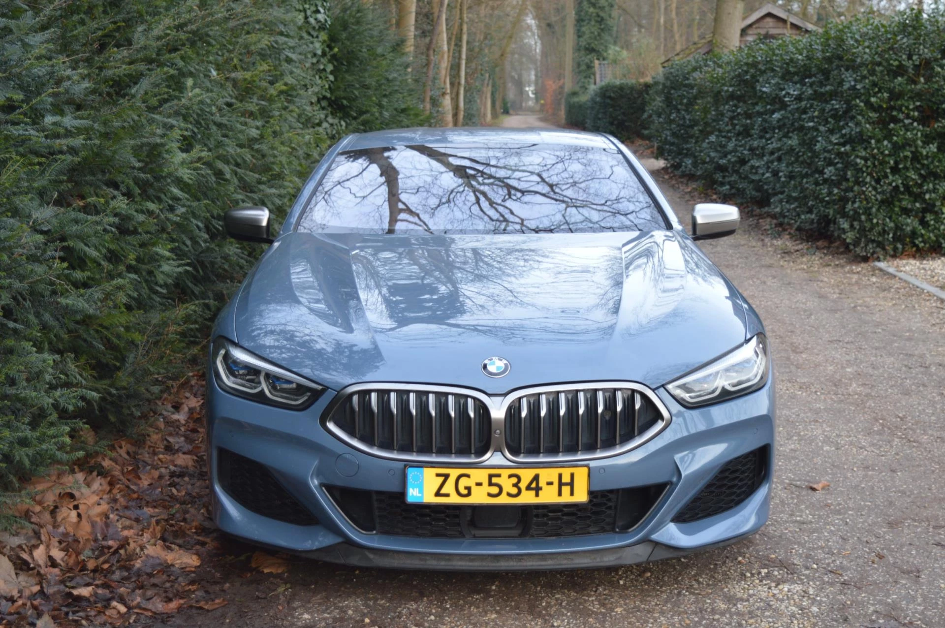 Hoofdafbeelding BMW 8 Serie