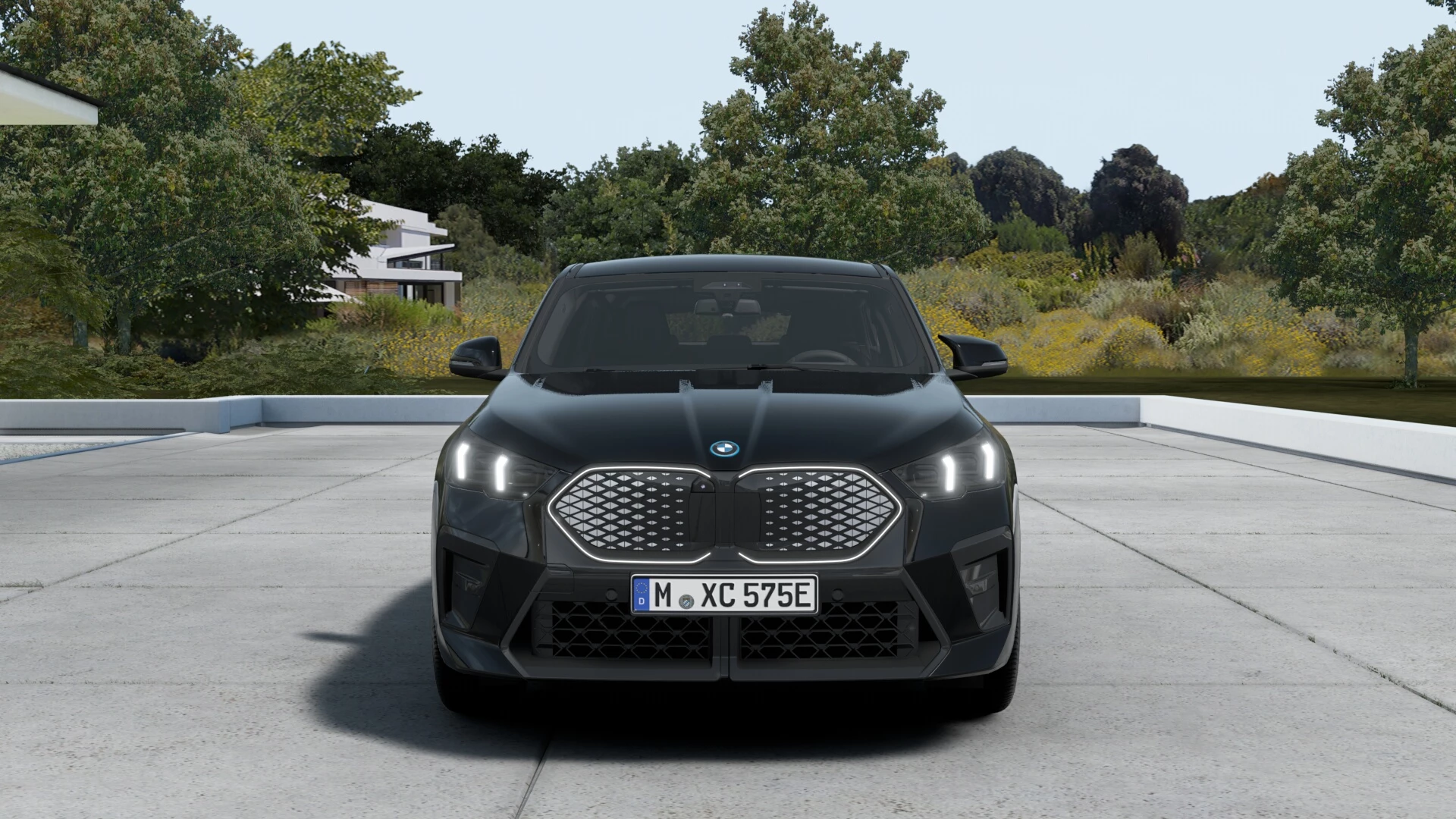 Hoofdafbeelding BMW iX2