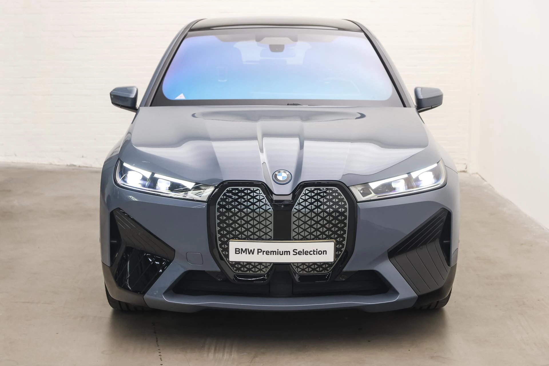 Hoofdafbeelding BMW iX