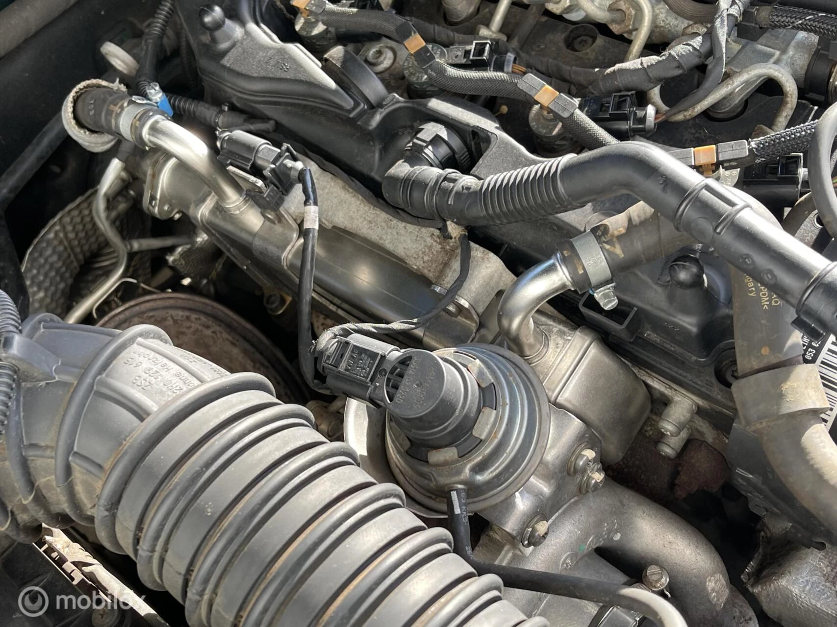 Hoofdafbeelding Volkswagen Amarok