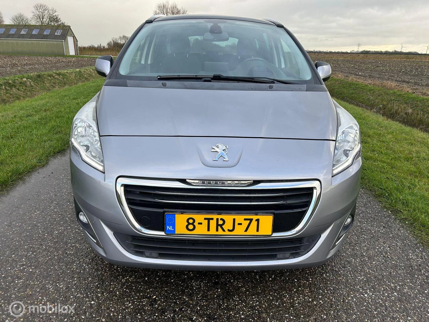 Hoofdafbeelding Peugeot 5008