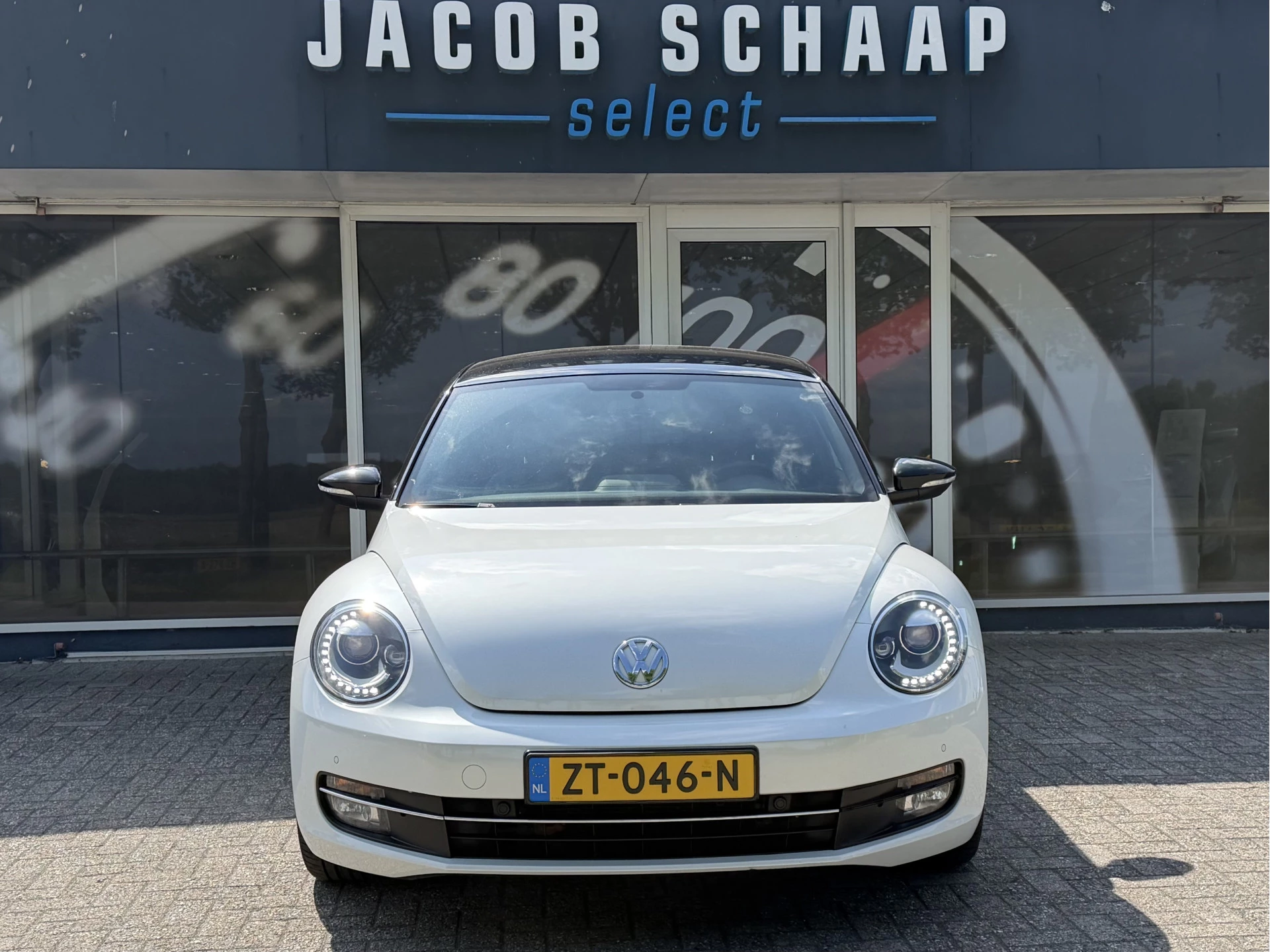 Hoofdafbeelding Volkswagen Beetle