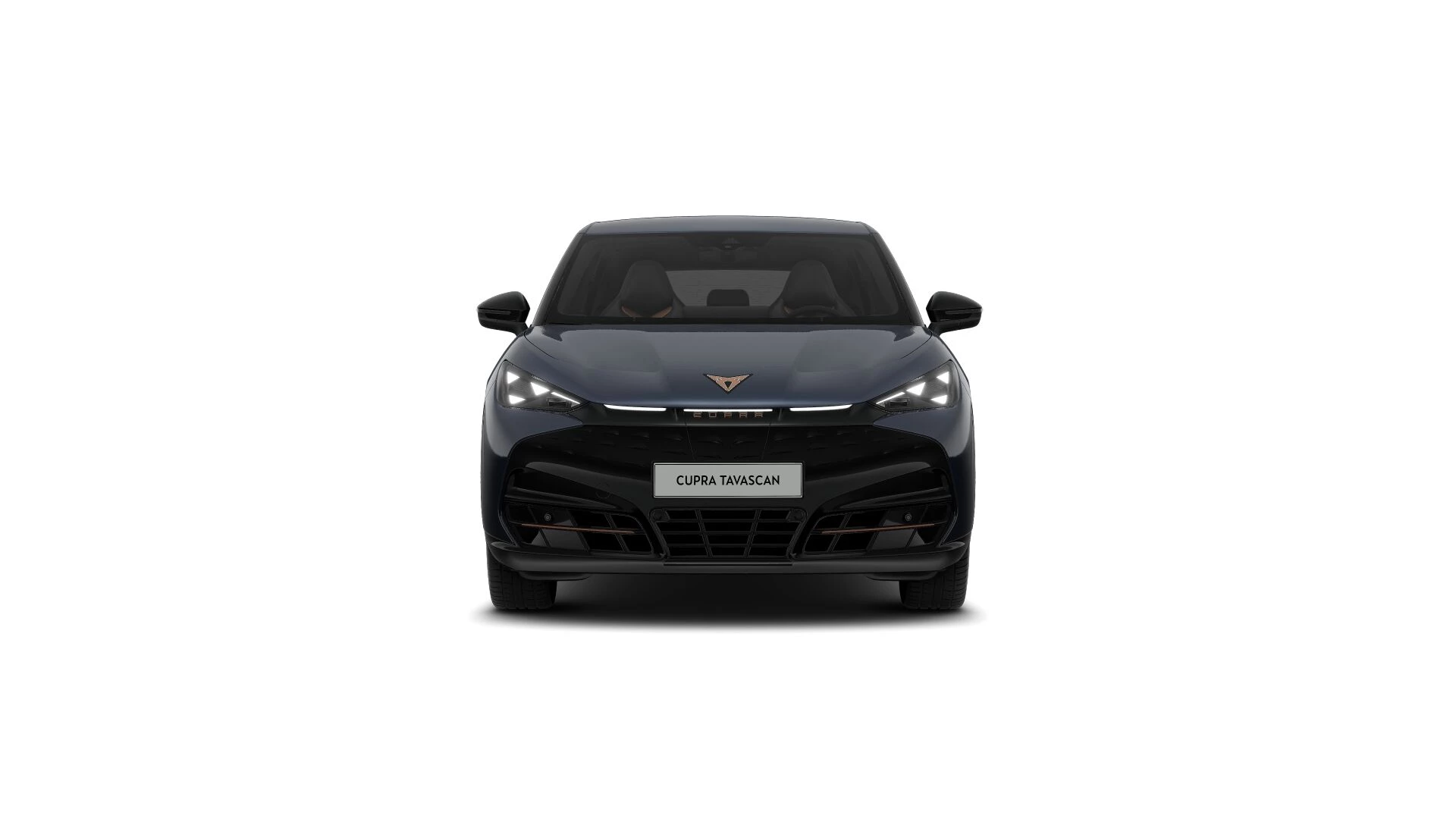 Hoofdafbeelding CUPRA Tavascan
