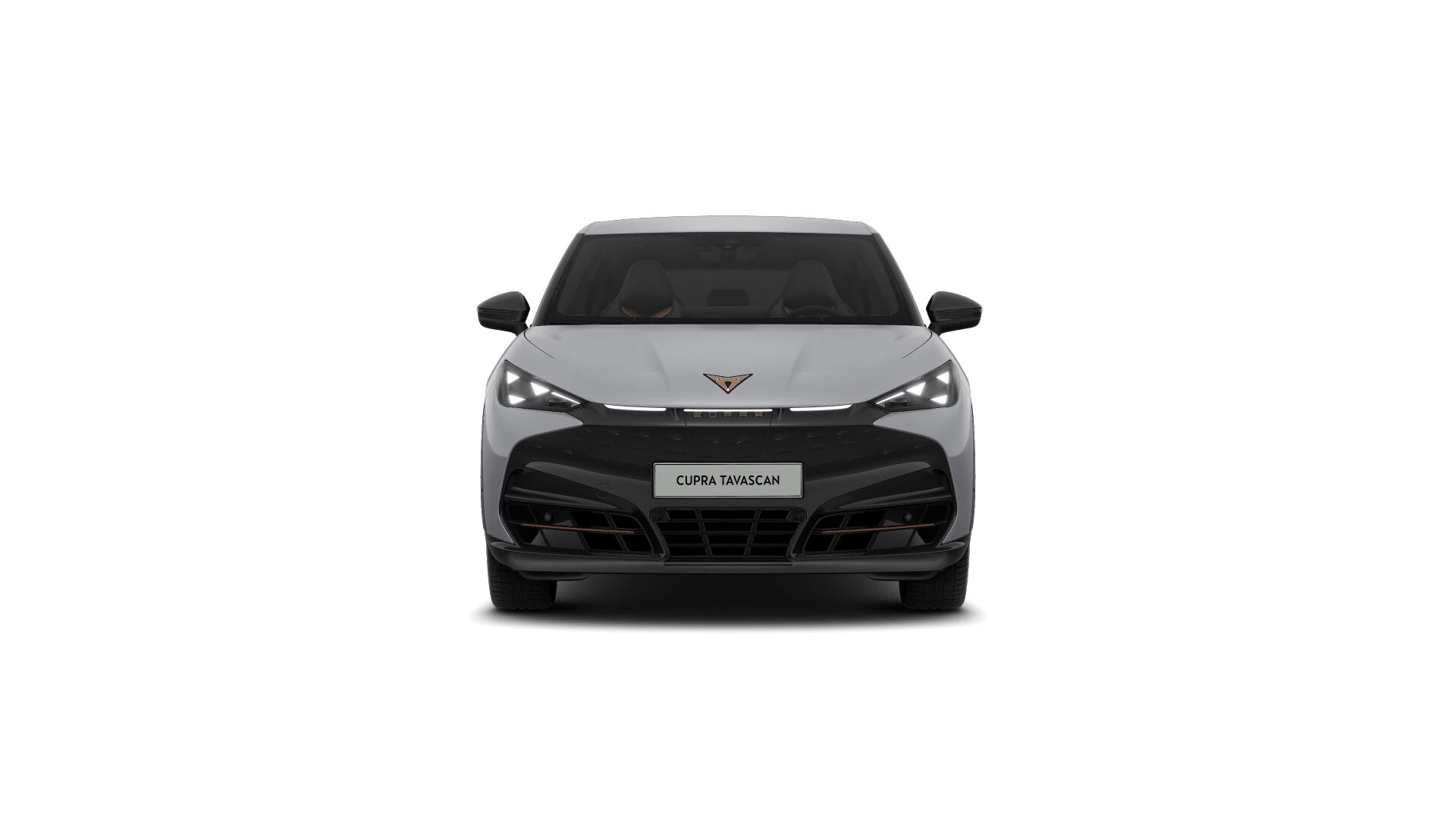 Hoofdafbeelding CUPRA Tavascan