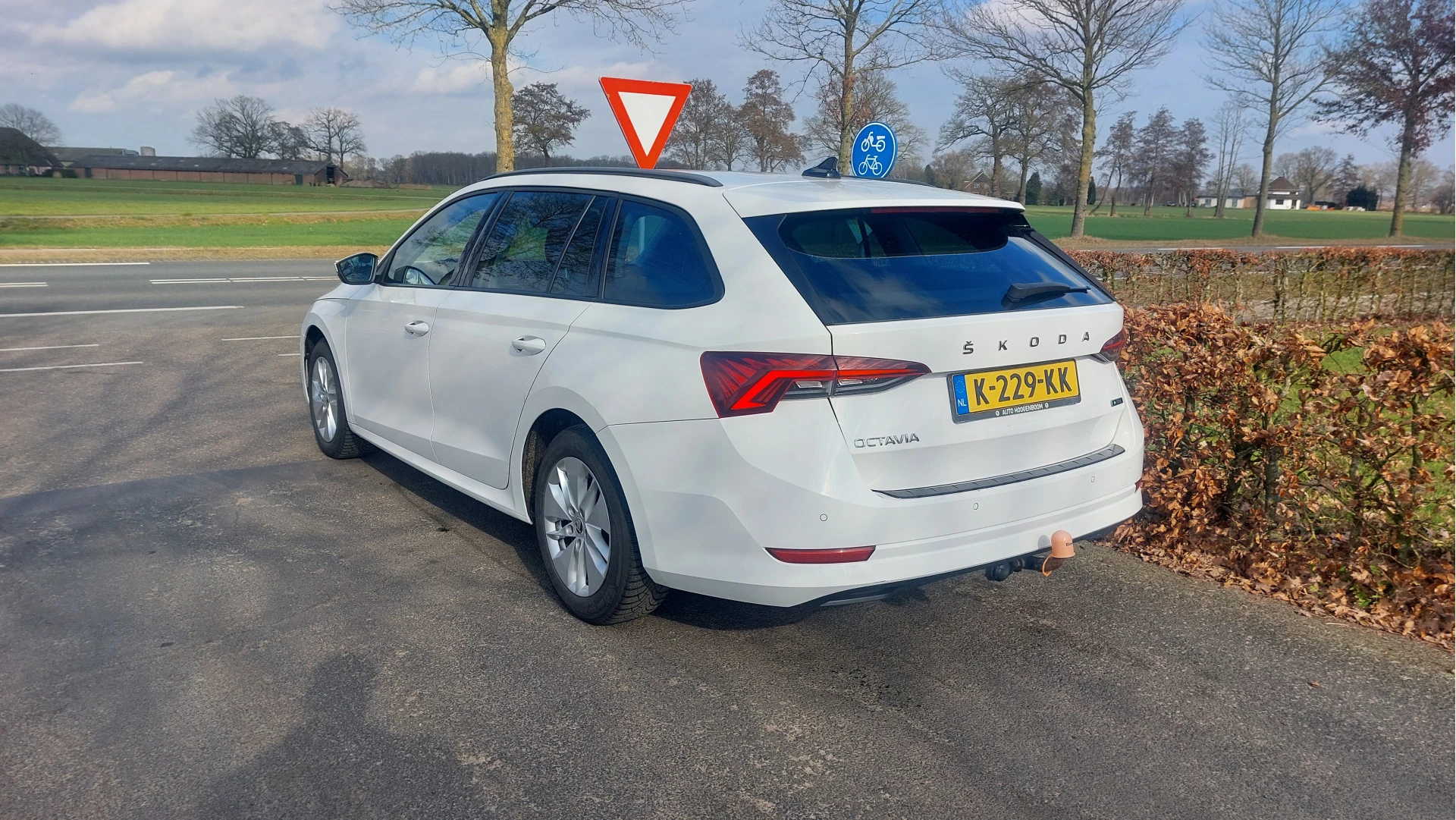 Hoofdafbeelding Škoda Octavia