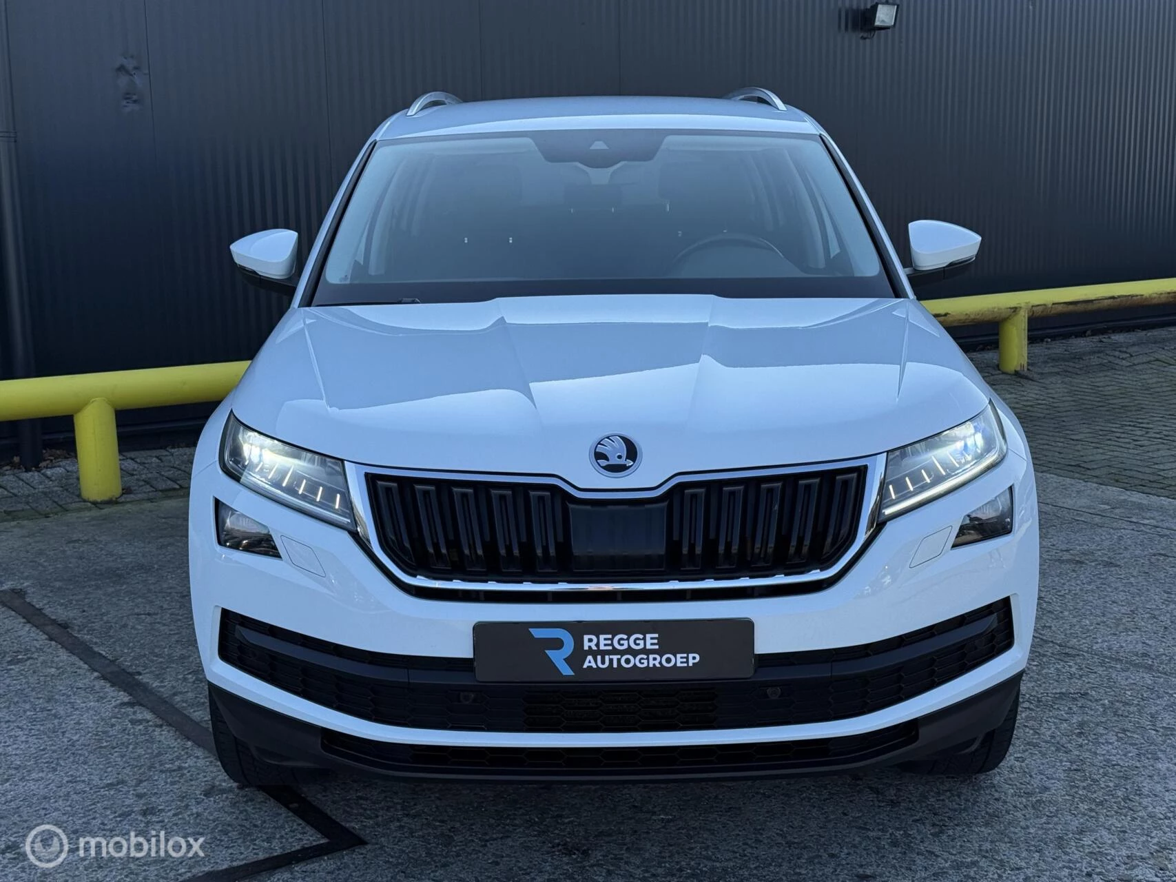 Hoofdafbeelding Škoda Kodiaq