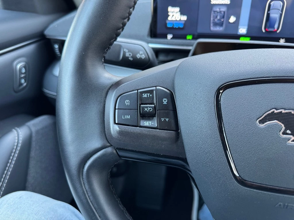 Hoofdafbeelding Ford Mustang Mach-E