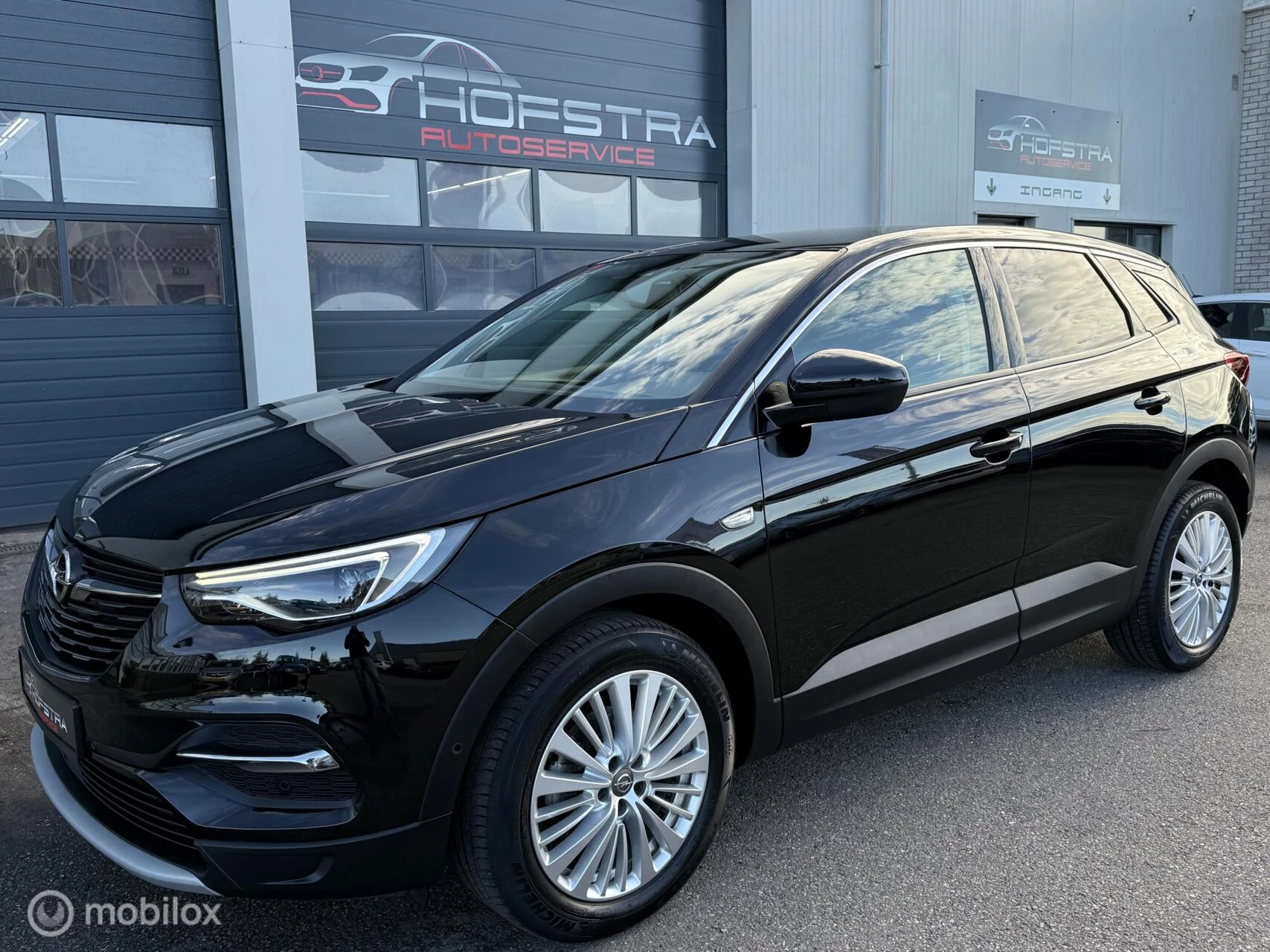 Hoofdafbeelding Opel Grandland X