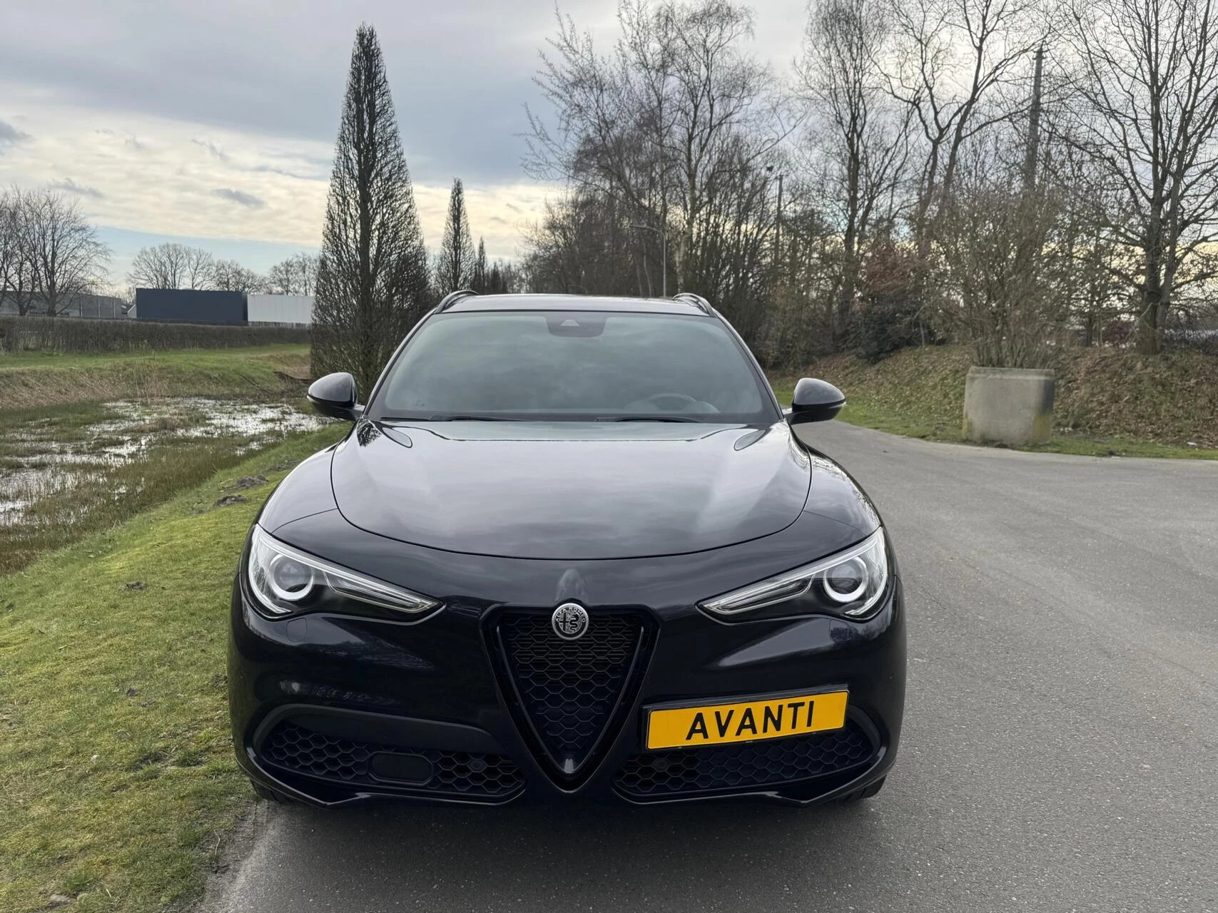 Hoofdafbeelding Alfa Romeo Stelvio