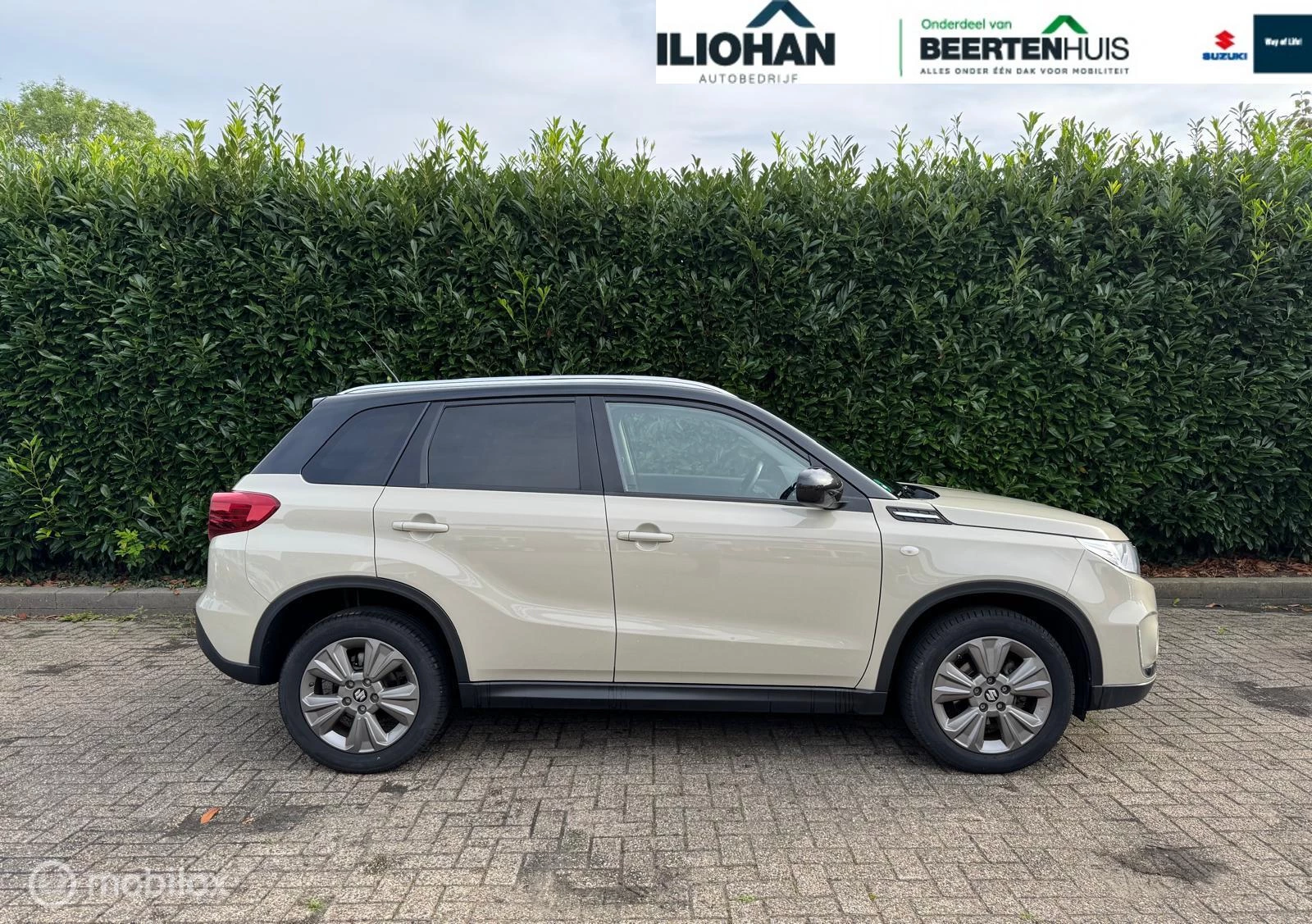 Hoofdafbeelding Suzuki Vitara