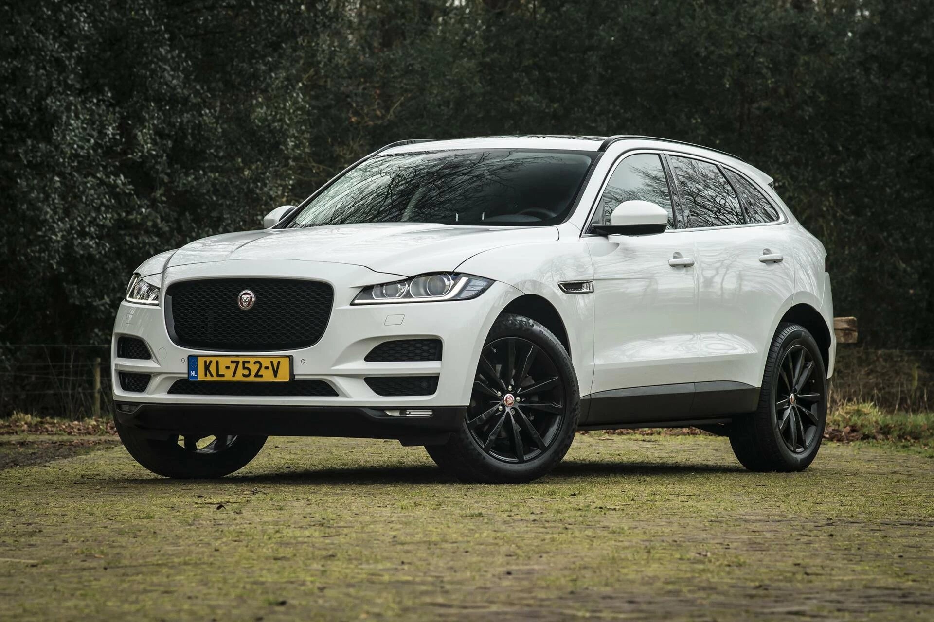 Hoofdafbeelding Jaguar F-PACE