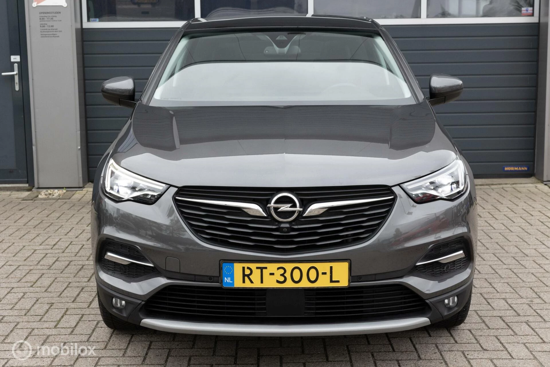 Hoofdafbeelding Opel Grandland X