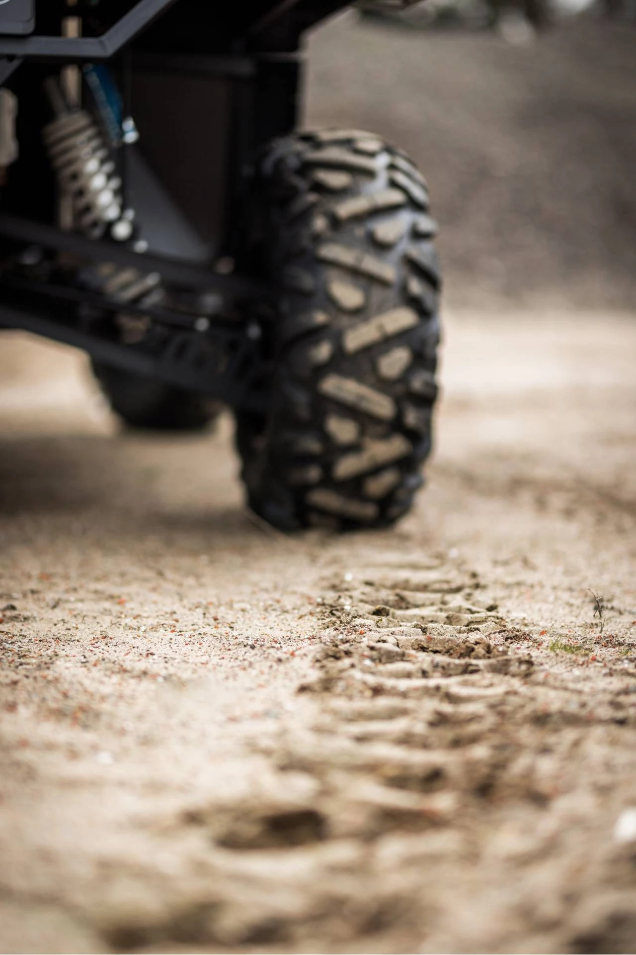 Hoofdafbeelding MASSIMO Warrior