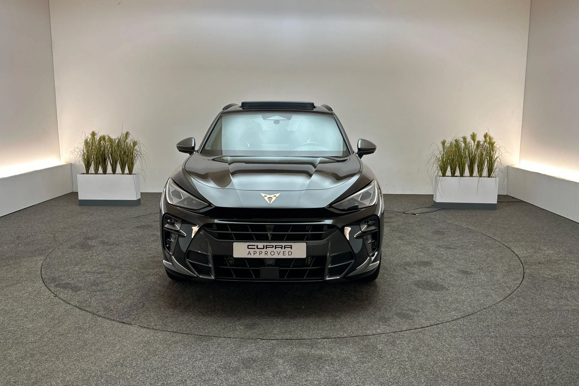 Hoofdafbeelding CUPRA Terramar