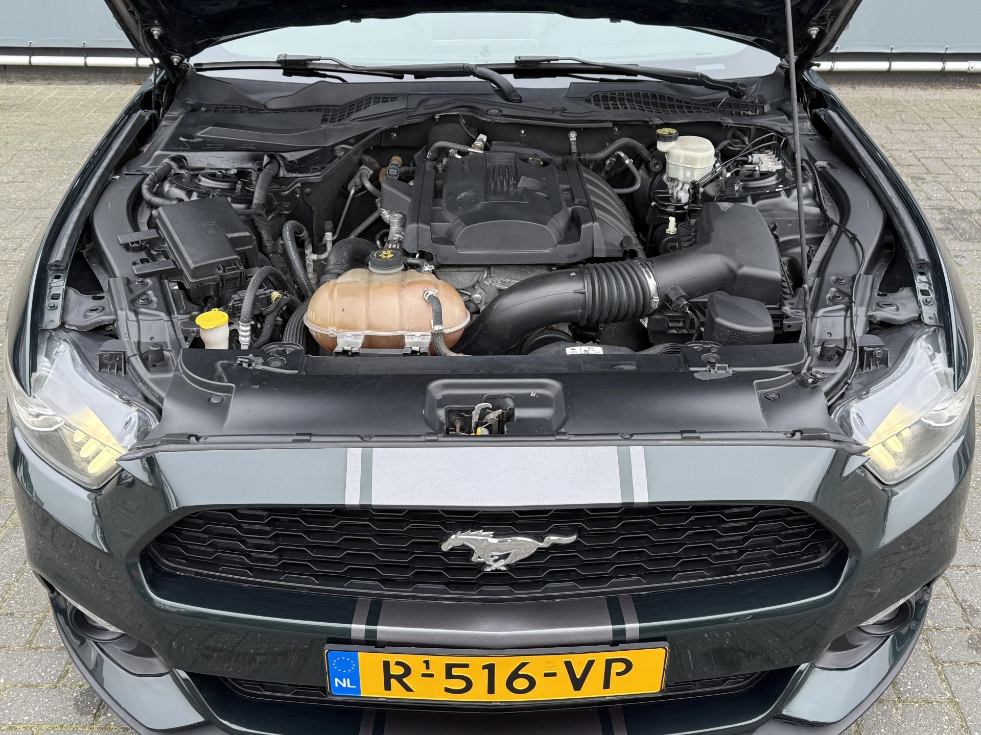 Hoofdafbeelding Ford Mustang