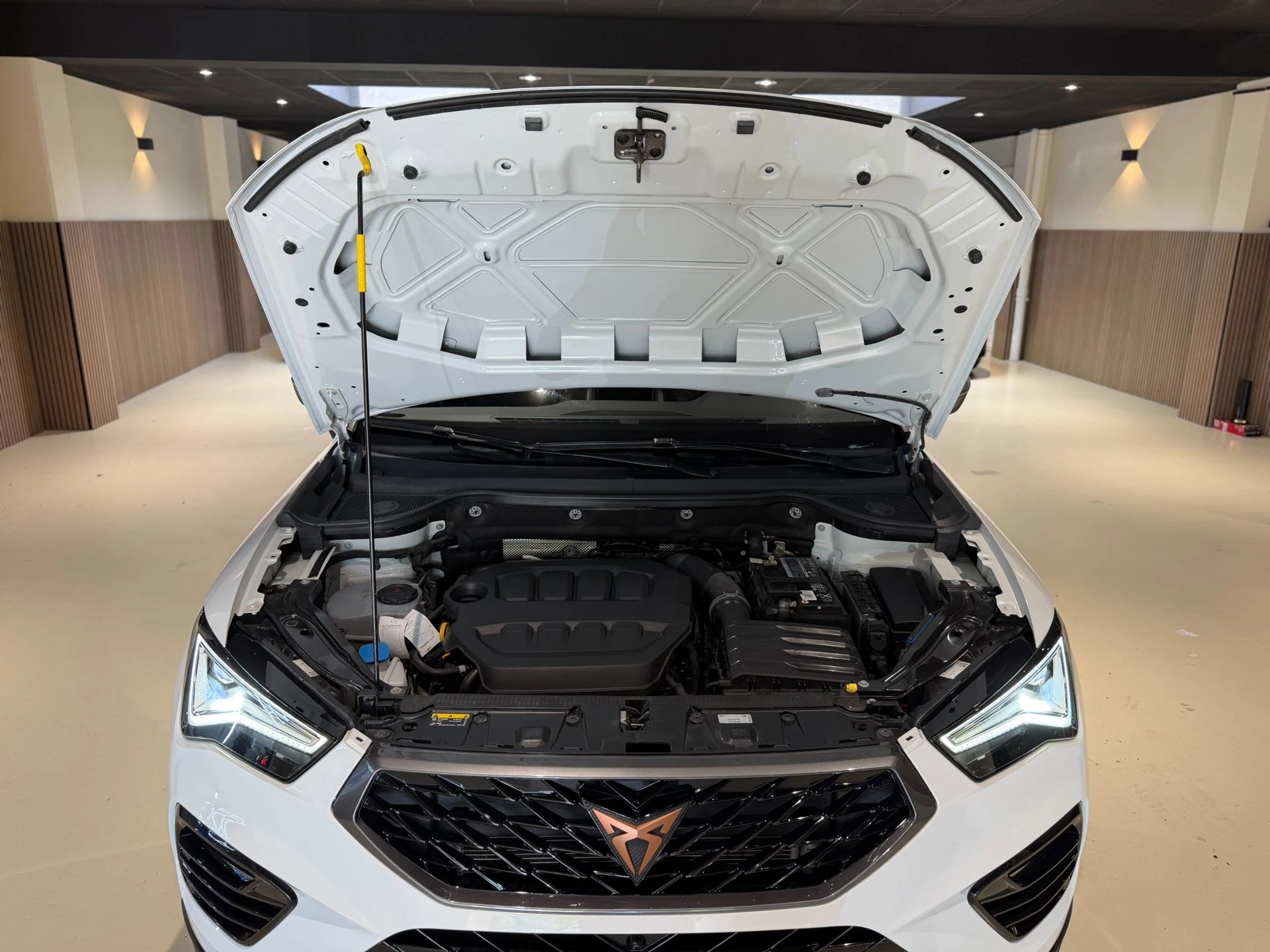 Hoofdafbeelding CUPRA Ateca