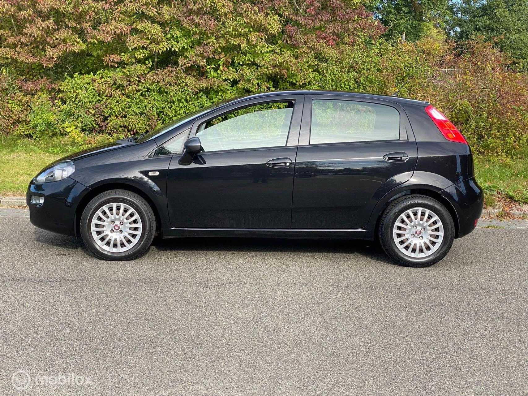 Hoofdafbeelding Fiat Punto