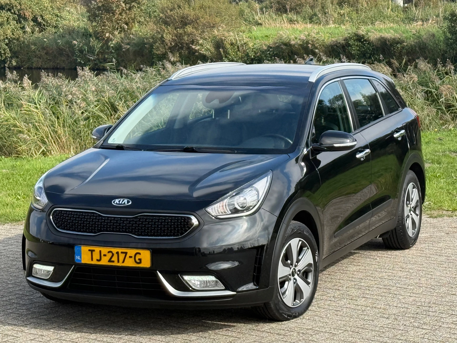 Hoofdafbeelding Kia Niro
