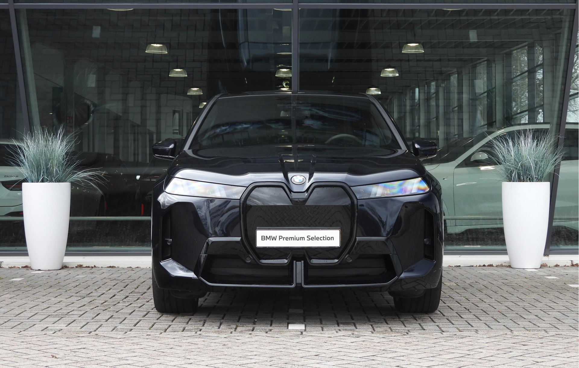 Hoofdafbeelding BMW iX