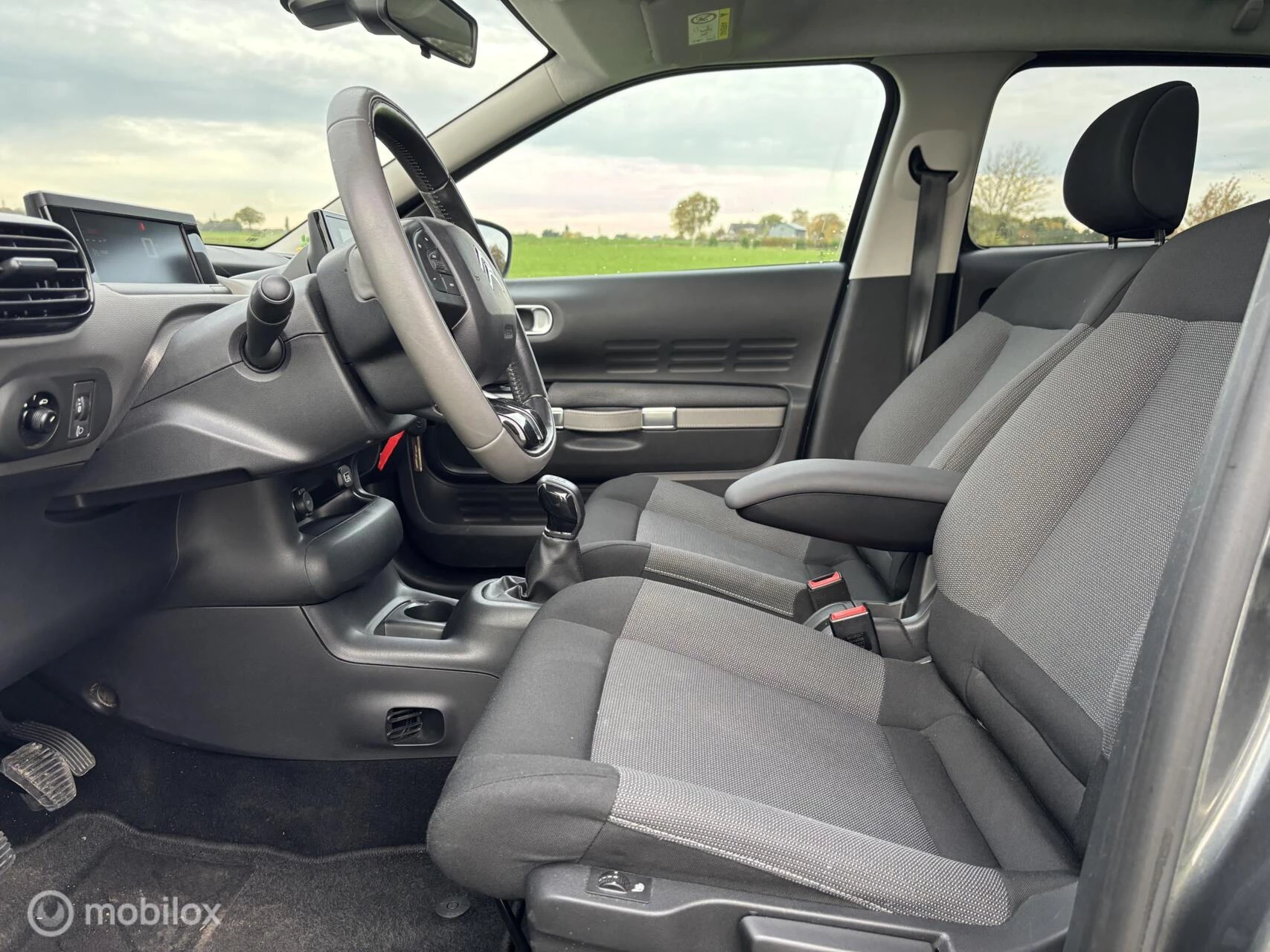 Hoofdafbeelding Citroën C4 Cactus