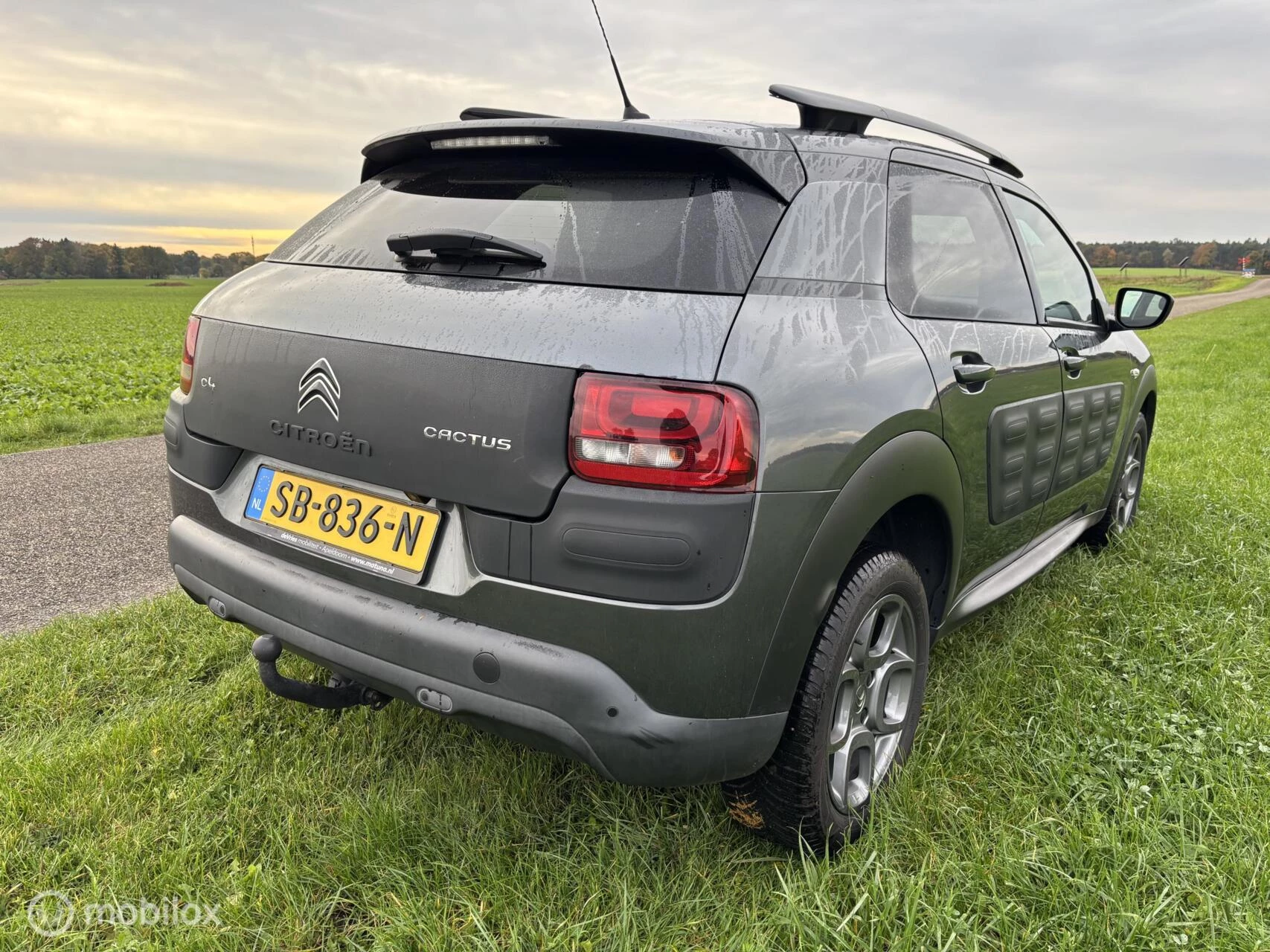 Hoofdafbeelding Citroën C4 Cactus