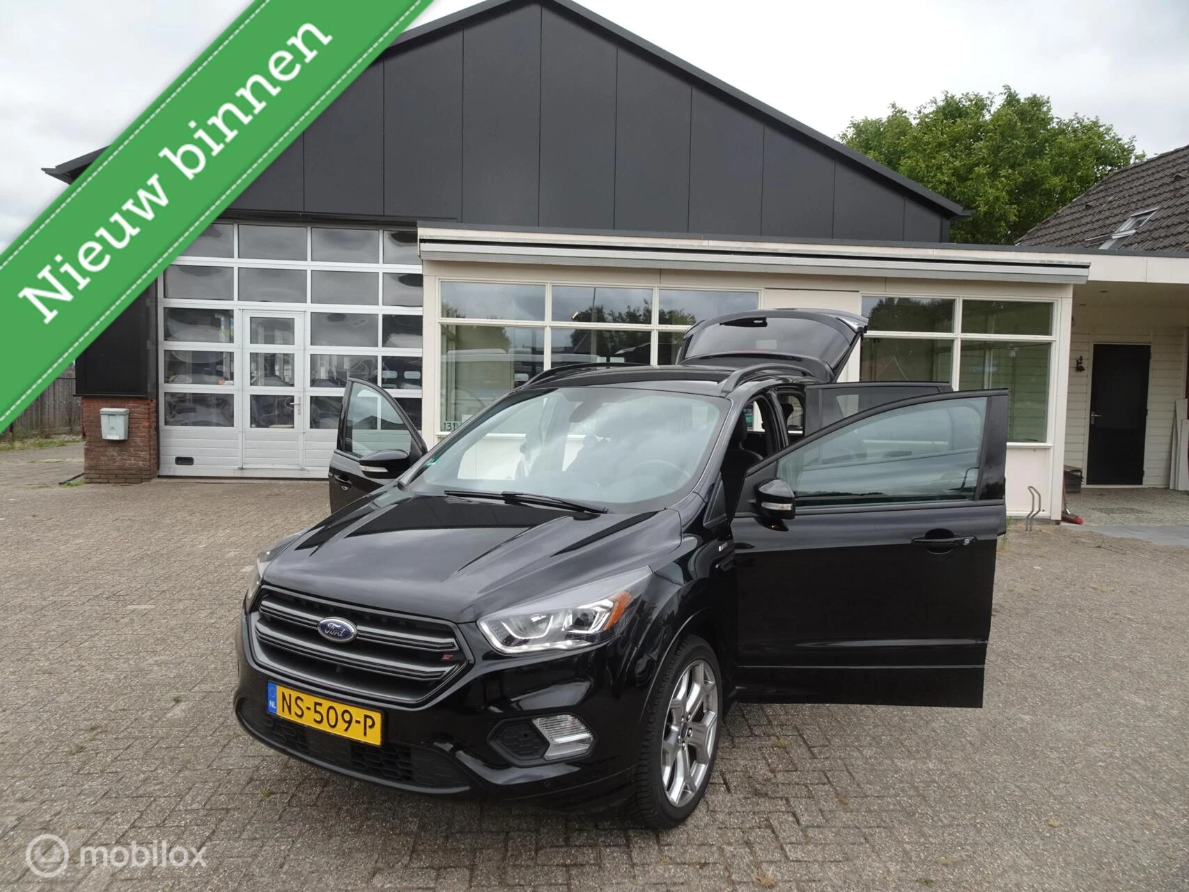 Hoofdafbeelding Ford Kuga