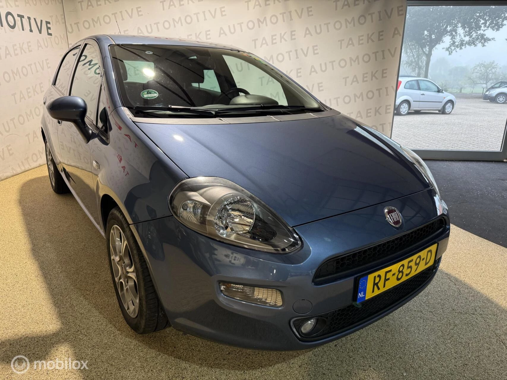 Hoofdafbeelding Fiat Punto