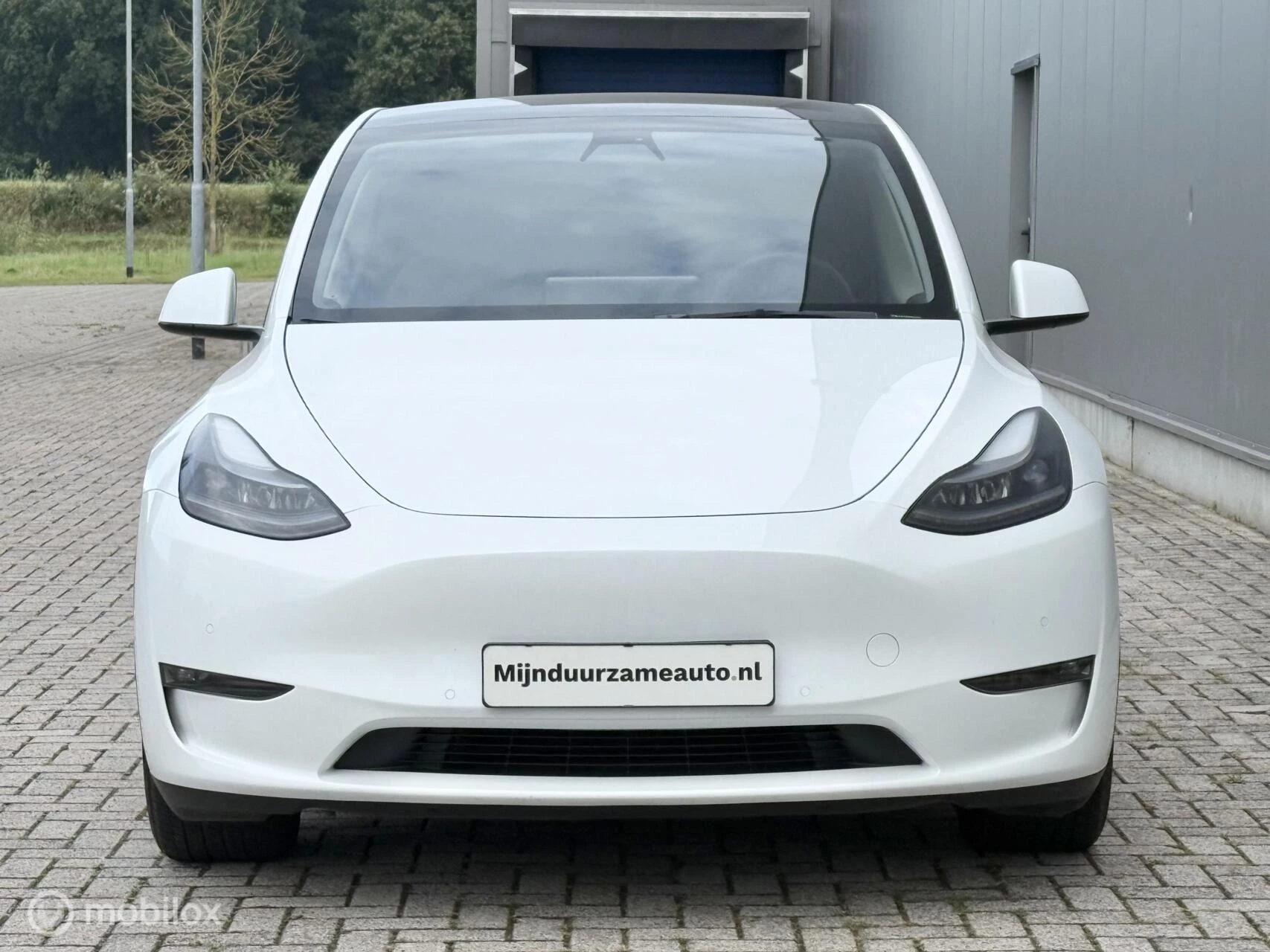 Hoofdafbeelding Tesla Model Y