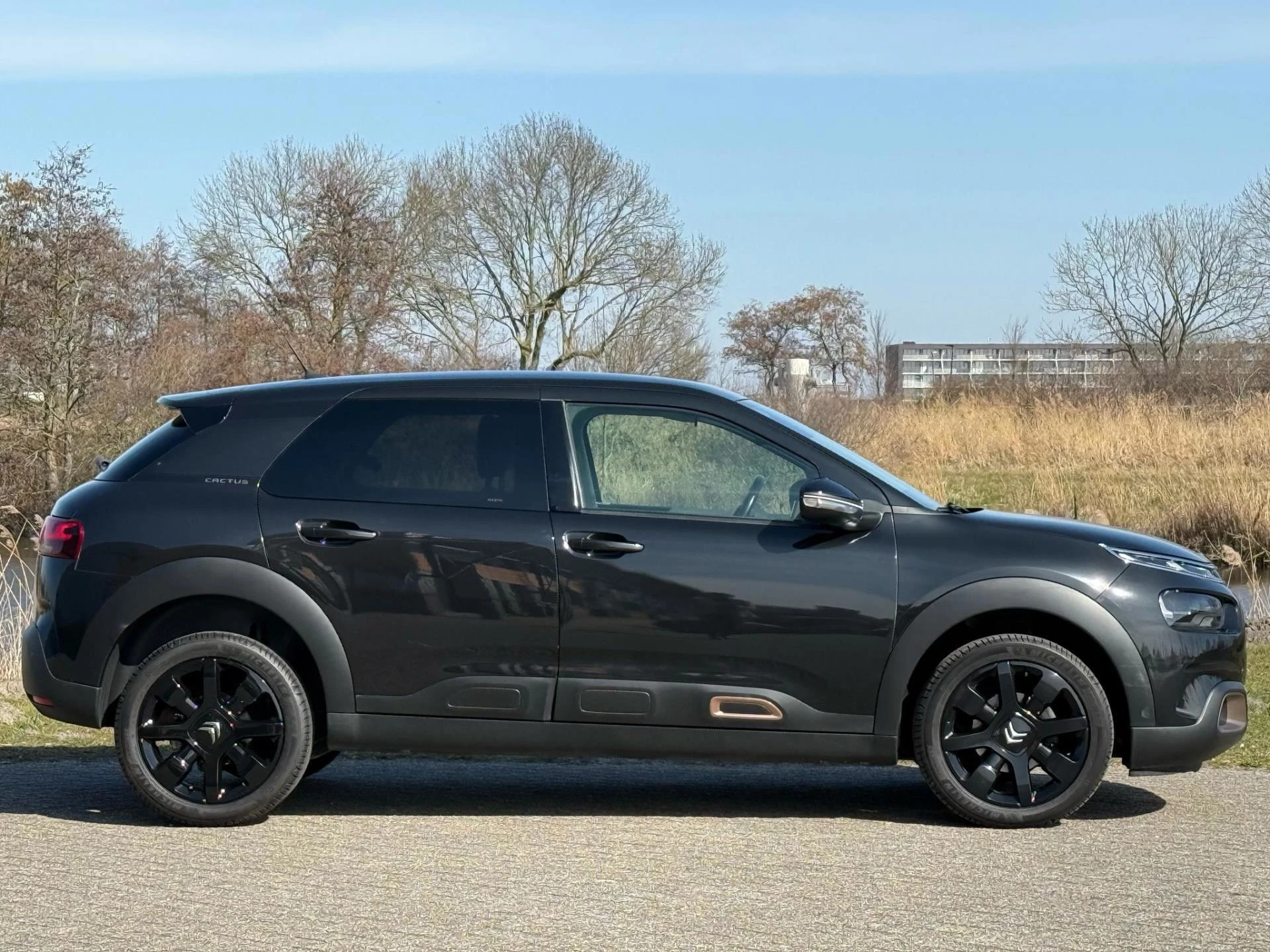 Hoofdafbeelding Citroën C4 Cactus