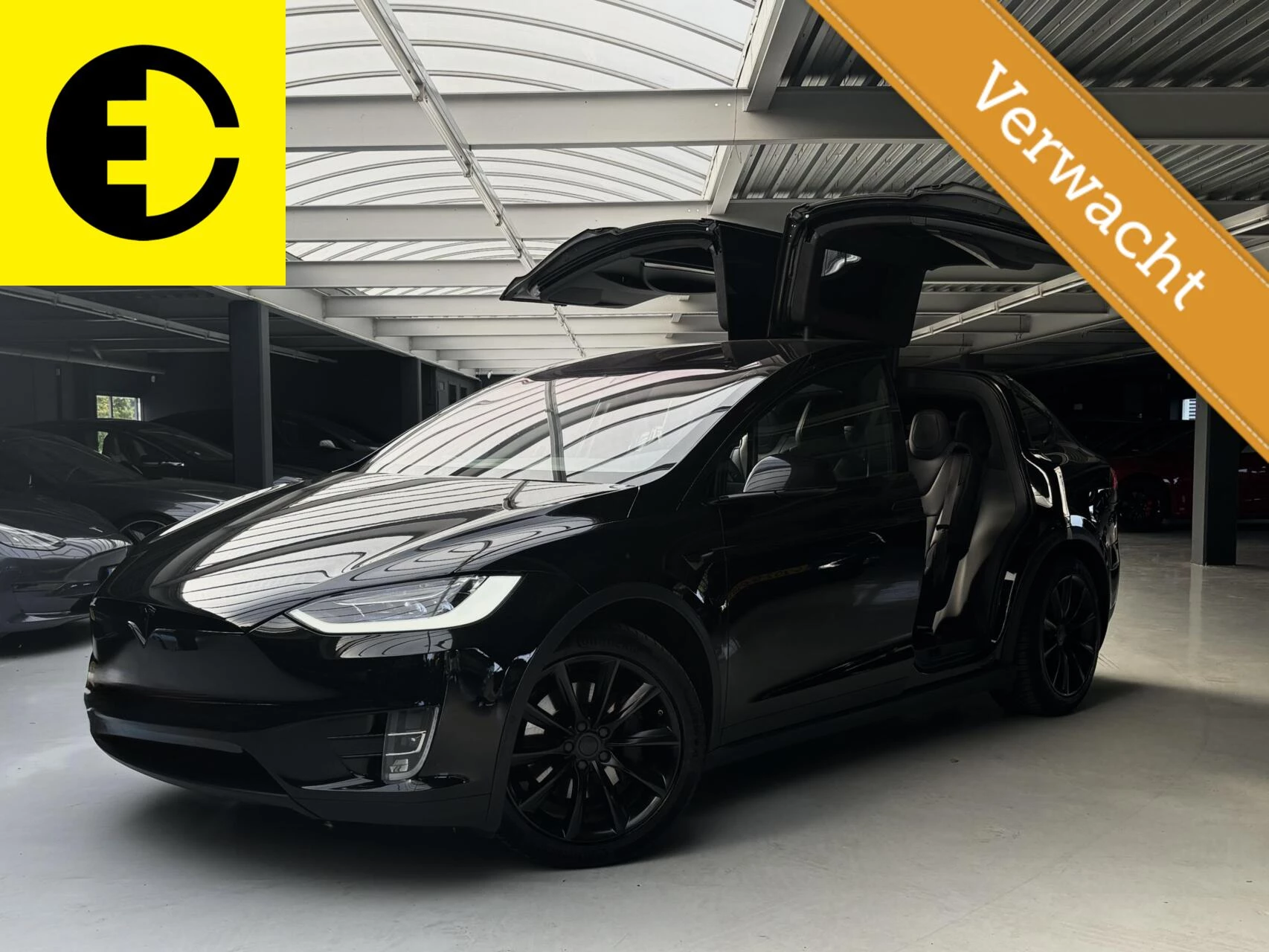 Hoofdafbeelding Tesla Model X