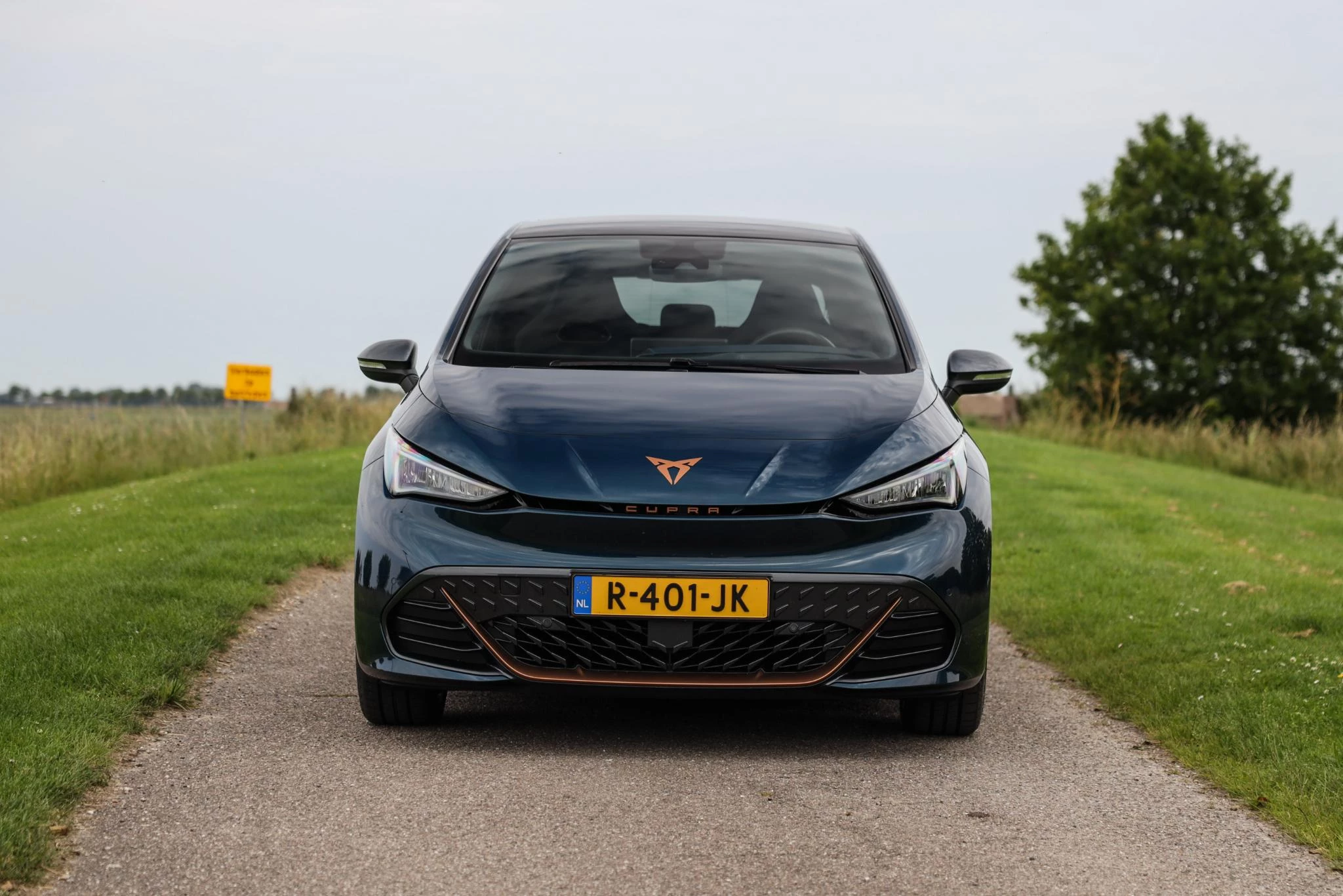 Hoofdafbeelding CUPRA Born