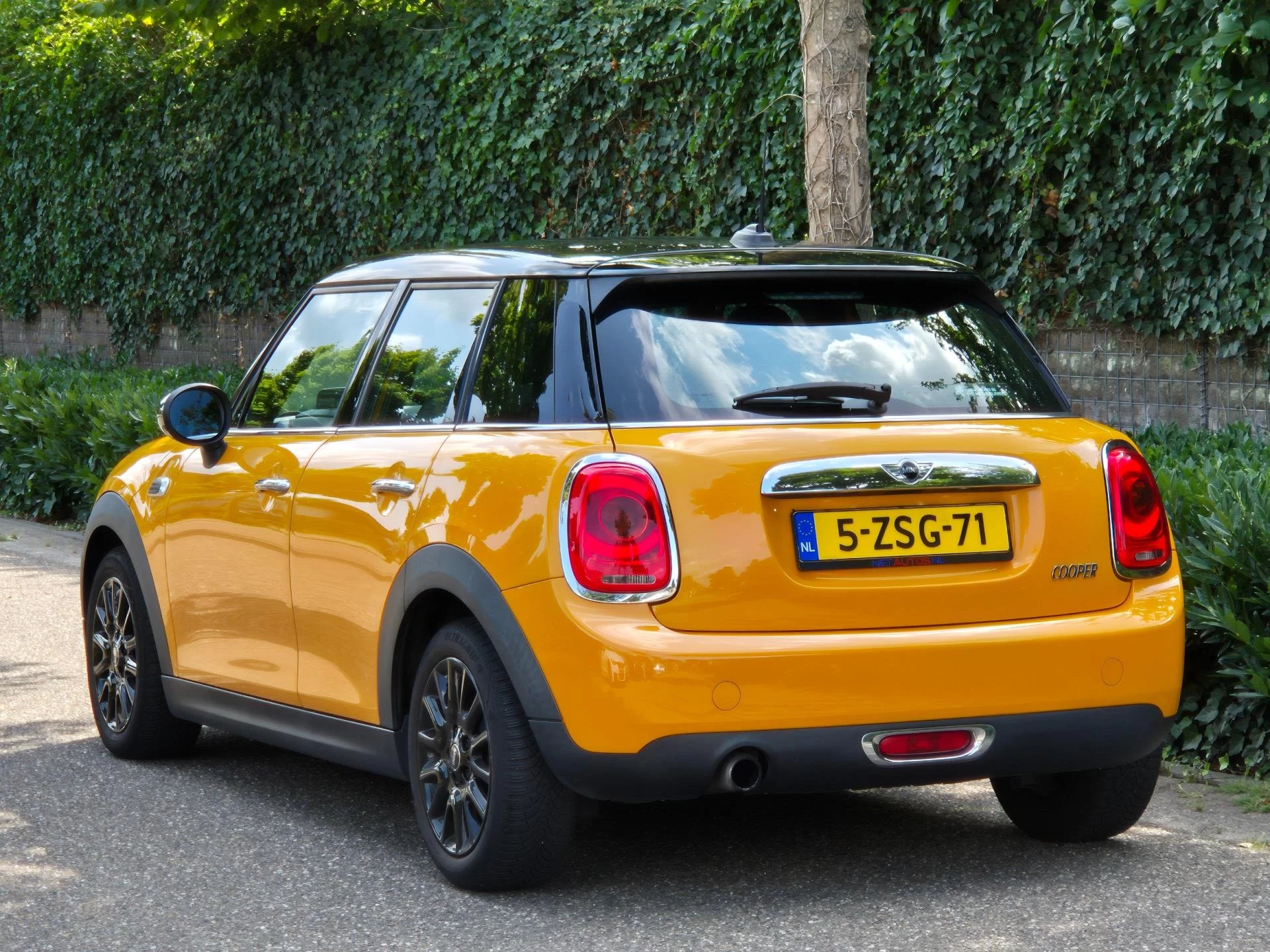 Hoofdafbeelding MINI Cooper