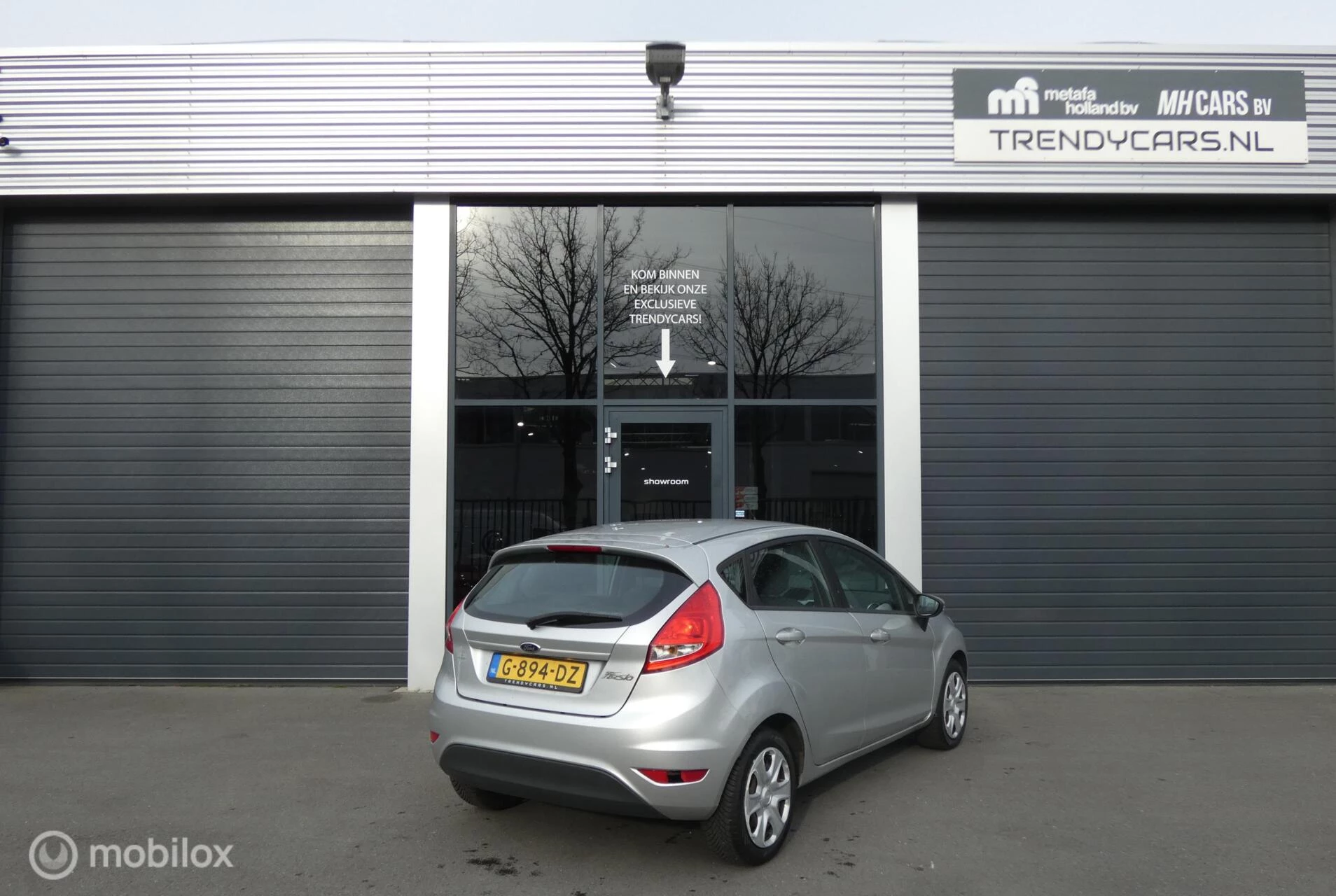 Hoofdafbeelding Ford Fiesta